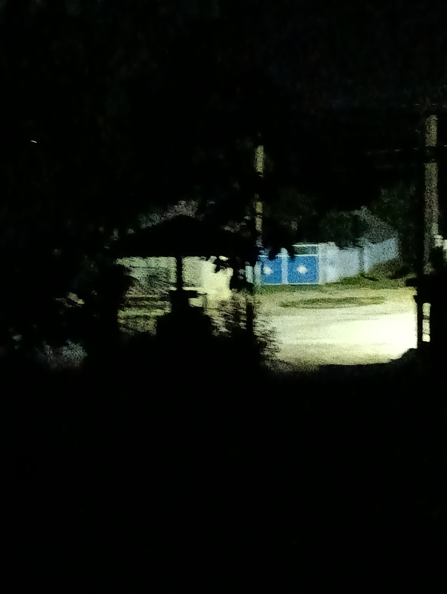 An underexposed night photograph shows a rural or suburban street scene. A bright light source, possibly headlights from a vehicle, illuminates a stretch of dirt or gravel road in the foreground, creating a bright white and yellow patch. Silhouetted trees and foliage obscure much of the scene on the left and right edges of the image. In the background, a low building with a light blue facade and darker blue circular designs is visible. Behind this building, a light-colored fence runs horizontally. Utility poles are visible on either side of the road. The overall impression is that of a dimly lit, possibly deserted area at night. There is no information in the image to suggest the location in Roghi, Moldova.