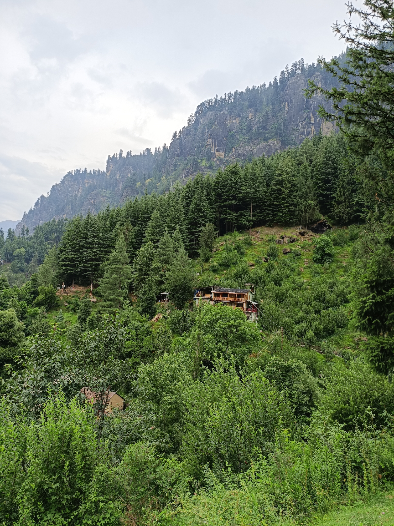 The image depicts a scenic view in Vashisht, India, dominated by lush greenery and a mountainous backdrop. A steep, rocky cliff face covered with dense evergreen trees rises in the background, partially obscured by a cloudy sky. In the mid-ground, a two-story building with a wooden balcony and a red roof is nestled amidst the foliage. The lower part of the image is filled with a variety of trees and bushes, creating a verdant landscape. There are no people visible in the scene. The environment suggests a tranquil, natural setting.
