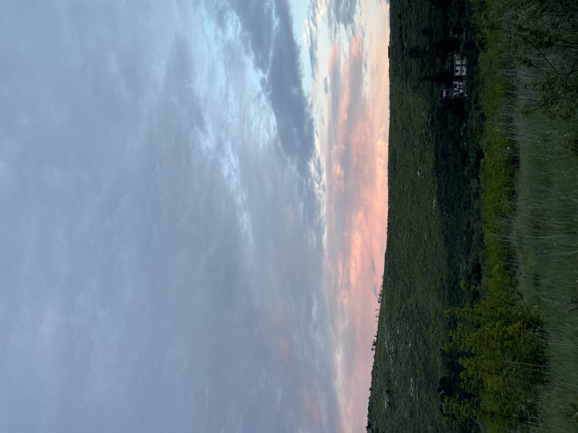 The image presents a landscape view in Zankovići, Montenegro, under a sky filled with varied cloud formations colored by the hues of sunset. To the right, a densely vegetated hillside ascends, featuring patches of buildings amidst the trees. The foreground shows tall grasses and foliage.