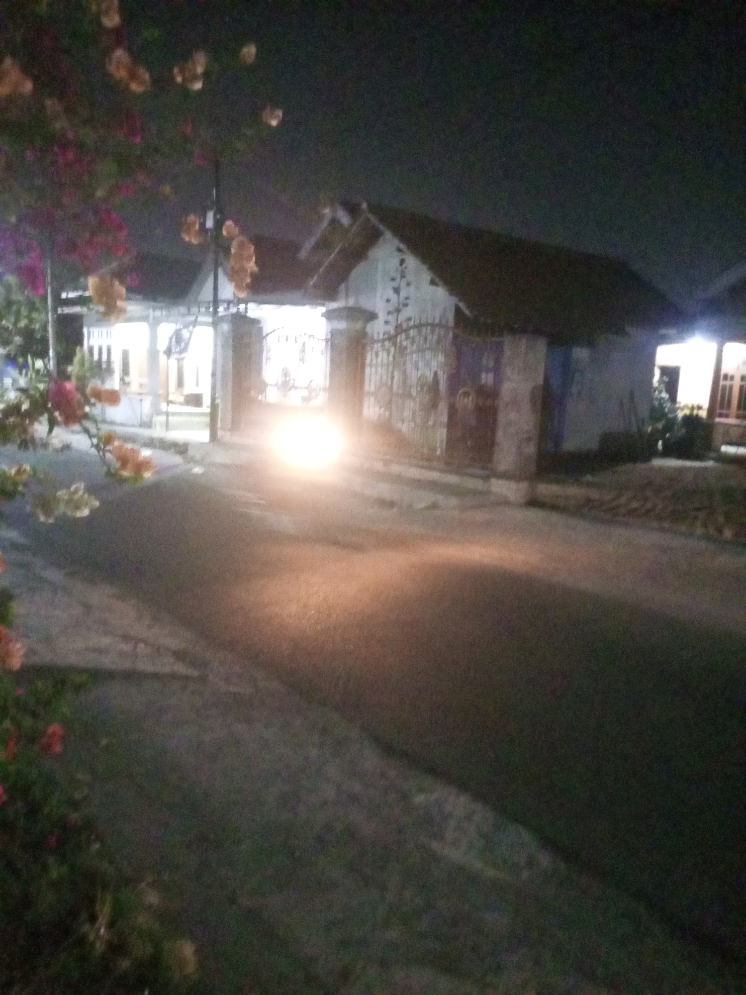 A nighttime outdoor scene in Ngasem, Indonesia features a street with a house in the background, partially illuminated by an oncoming vehicle's headlights. The house has a dark roof and appears to have a gate. Foliage, possibly bougainvillea with pink and orange flowers, is visible in the foreground on the left. The road surface is visible and appears to be asphalt. The lighting conditions are low, suggesting it is after dark, and there is a bright light source in the center of the image, likely from a vehicle approaching the camera.
