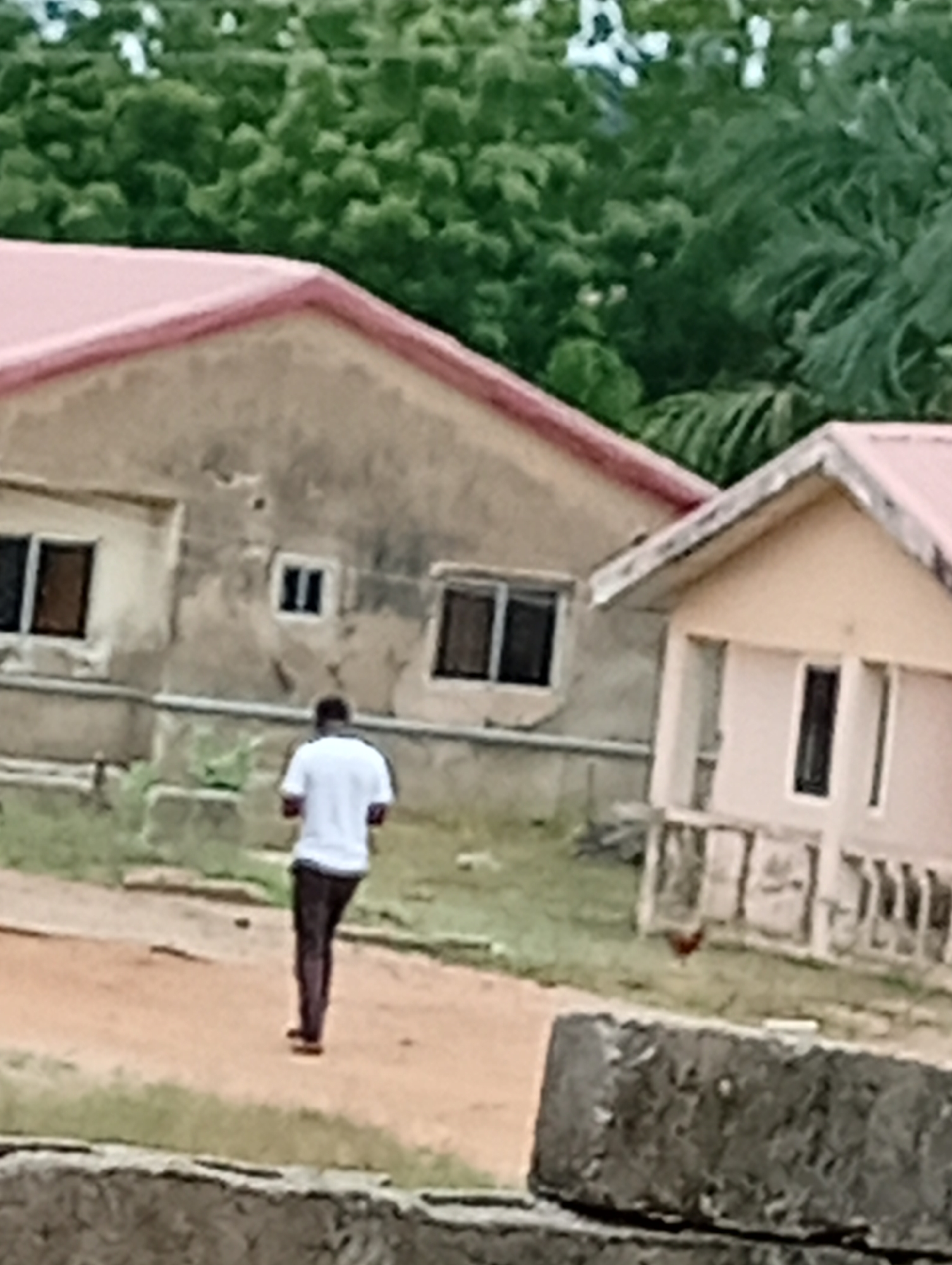 A medium shot shows a person walking away from the camera on a dirt path. The person is wearing a white t-shirt and dark pants. The background consists of two buildings, green trees, and a cloudy sky. The buildings have pink roofs and are painted in different shades of beige. A chicken is near one of the buildings. The location is Unknown, Unknown.