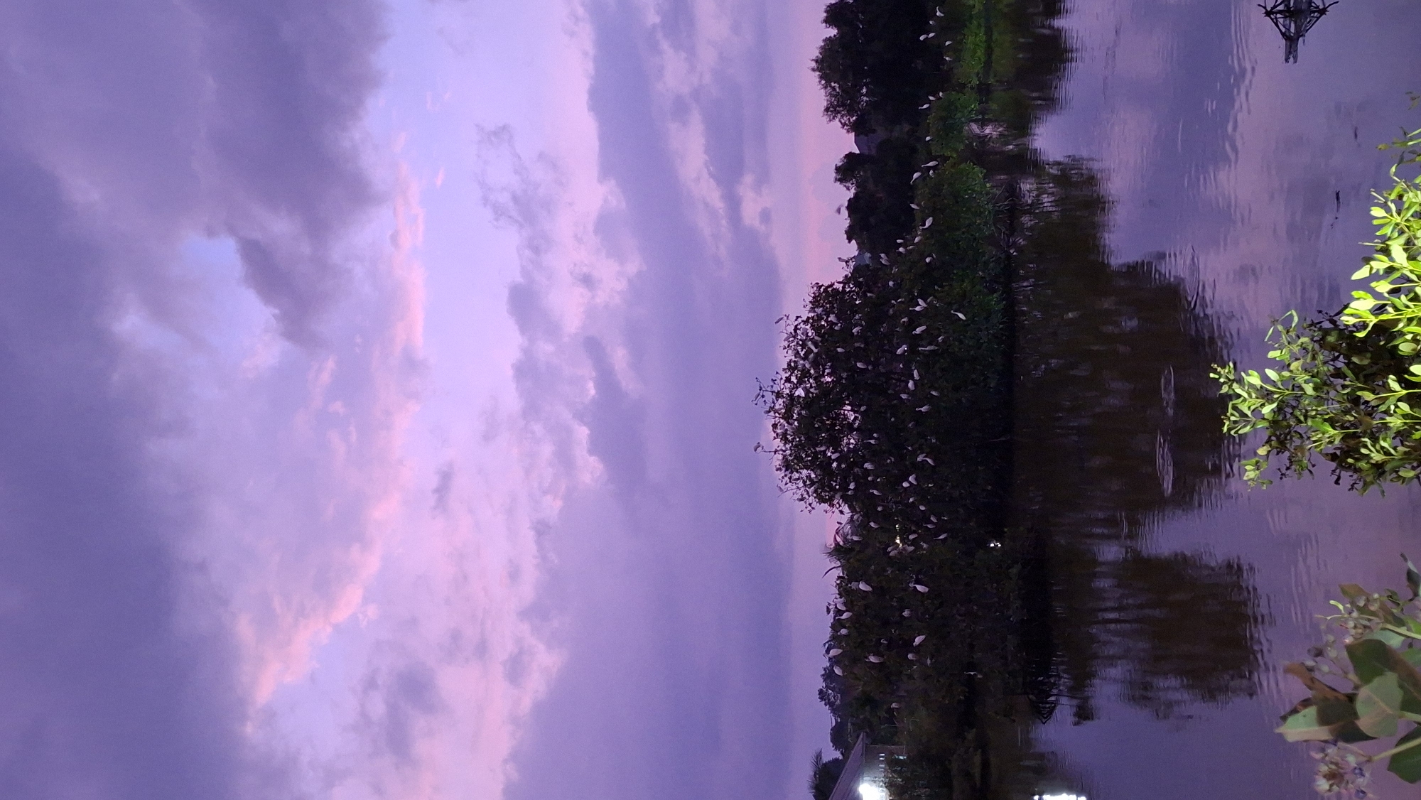 The image captures a serene twilight scene at a body of water, likely a lake or river, in Lhokseumawe, Indonesia. The sky is dominated by a gradient of purples and pinks, characteristic of sunset or sunrise, with fluffy clouds scattered across it. The water reflects the vibrant sky, creating a mirror image that adds to the tranquil atmosphere.
Along the bank, lush green foliage and trees are visible, some of which are populated by numerous small white birds, possibly egrets, perched on branches. Their presence suggests a natural habitat. On the right side of the frame, more green branches with leaves are in the foreground, illuminated, contrasting with the darker water and sky. In the distance, a dark silhouette of a structure, possibly a tower or scaffolding, rises against the colorful sky. The overall mood is peaceful and contemplative, enhanced by the soft lighting and the natural elements. The time of day is clearly dusk or dawn, with the soft, diffused light indicating the transition between day and night. The location is identified as Lhokseumawe, Indonesia, suggesting a tropical or subtropical setting with abundant plant life. No text is visible in the image.