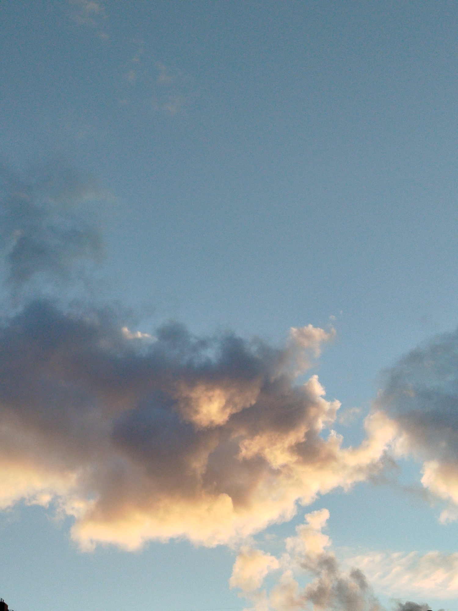 This is a vertical, medium-shot photograph of a dusky sky above the city of Pargolovo, Russia. The sky is a pale blue, transitioning to a darker hue at the top of the frame. Several clouds are present, with the most prominent ones located in the lower half of the image. These clouds are a mix of dark grey and white, illuminated by warm, golden light, suggesting the presence of the setting sun. The clouds are varied in shape and texture, with some appearing wispy and others dense and voluminous. The lower edge of the frame shows the dark silhouette of what appears to be distant tree branches or rooftops, hinting at the urban or suburban landscape of Pargolovo. No people, animals, or specific identifiable landmarks are visible. The overall impression is one of a tranquil, atmospheric evening scene.