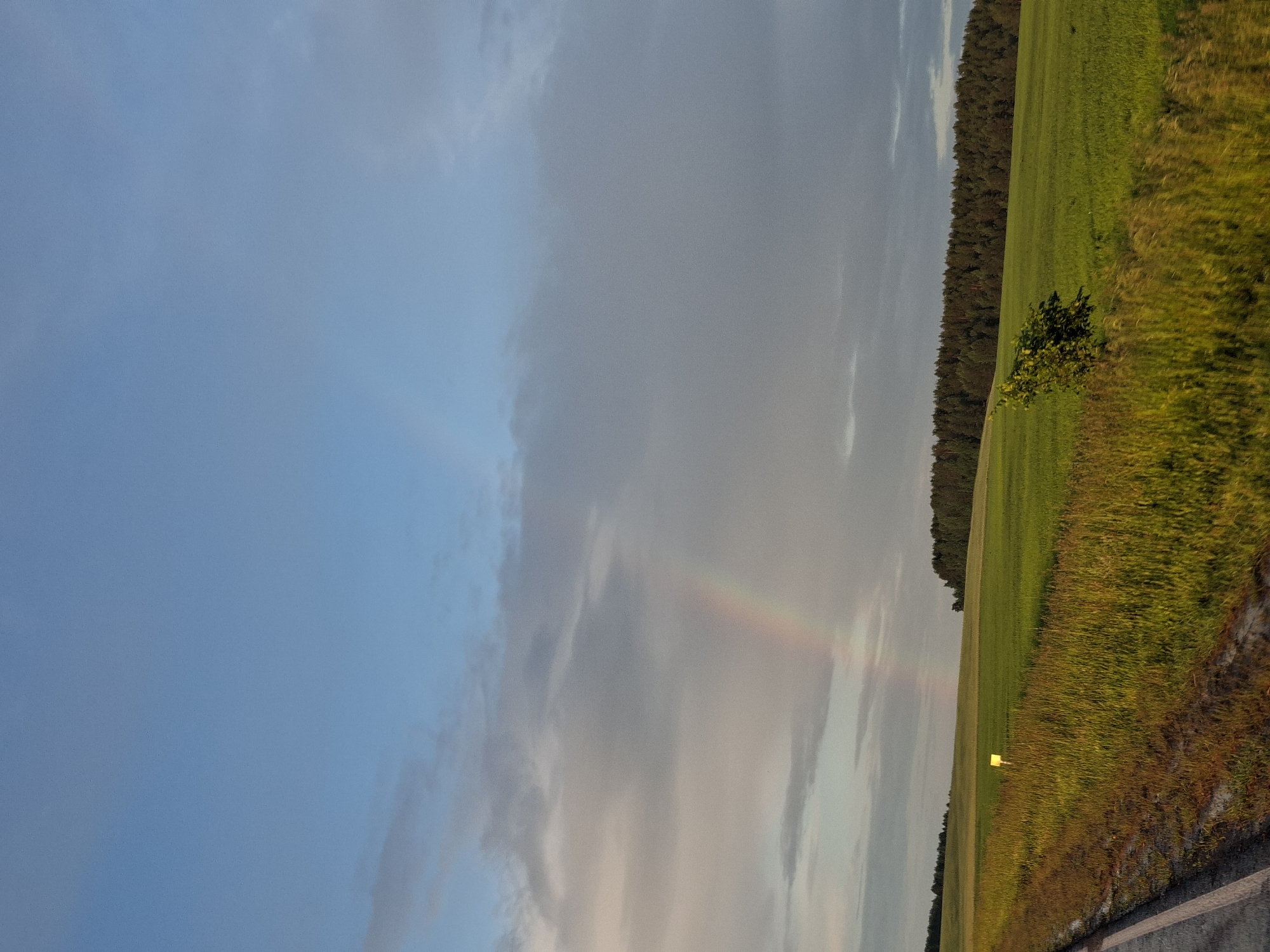 The image depicts a rural landscape with a prominent rainbow arcing across a partly cloudy sky. The foreground features a grassy field and a portion of a paved road. In the mid-ground, a dense line of trees forms a horizon, with rolling green fields stretching out before them. A small, leafy bush is visible in the right mid-ground. A yellow marker or sign stands in the left mid-ground. The sky exhibits a mix of blue and grey clouds, with the rainbow clearly visible amidst the lighter clouds. The lighting suggests it is either early morning or late afternoon. No people are present in the image. The scene is serene and natural, possibly captured near the outskirts of the settlement of Chumna, Russia, given its rural character.