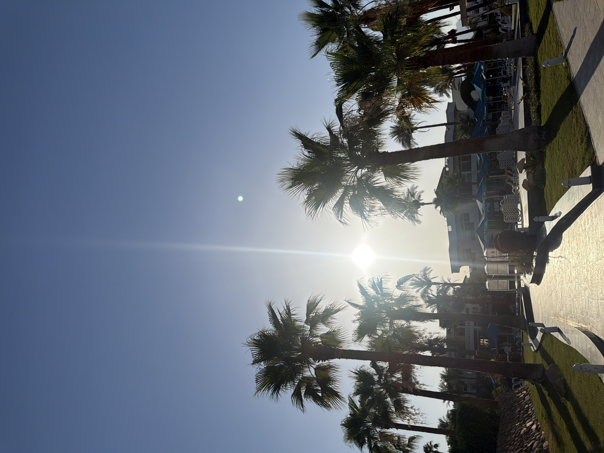 This media file depicts an outdoor scene at what appears to be a resort, likely in Sharm El Sheikh, Egypt. The primary subjects are several palm trees silhouetted against a bright, clear sky. The sun is high and prominently visible, creating lens flare and casting strong shadows, suggesting it is midday.
In the background, structures that resemble hotel buildings or resort amenities are visible, along with lounge chairs, some stacked and others seemingly in use. There is a paved walkway with grass and a stone-lined border. The overall atmosphere is tropical and vacation-like.
The image is oriented vertically, with the sky dominating the upper portion and the resort elements filling the lower half. The lighting conditions suggest a warm and sunny day, typical of a beach destination. No people are clearly discernible, and no text is visible within the frame. The scene evokes feelings of relaxation and warmth, characteristic of a holiday in a sunny climate.