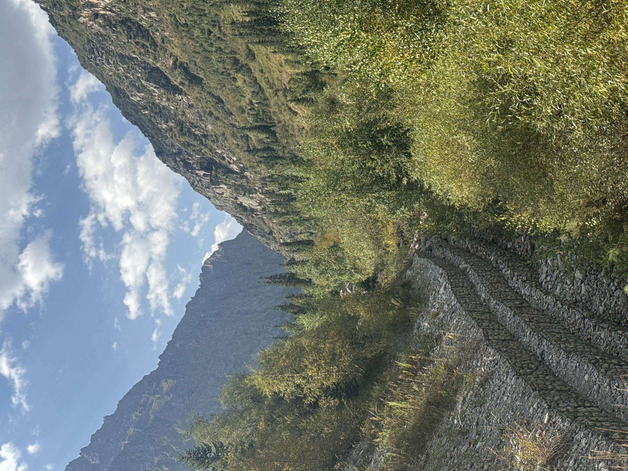 This image depicts a mountainous landscape in an unknown location in Kyrgyzstan. In the foreground, a terraced structure made of gabions filled with rocks lines a slope. Beyond the gabions, lush green and yellow foliage of trees and shrubs covers the lower slopes of the mountains. The mountains themselves are steep and rocky, with sparse vegetation higher up, and a narrow valley extends into the distance, framed by the opposing mountain slopes. The sky above is blue with scattered white clouds. The scene appears to be a natural environment, possibly a mountain pass or a river valley, with human intervention evident in the gabion retaining walls.