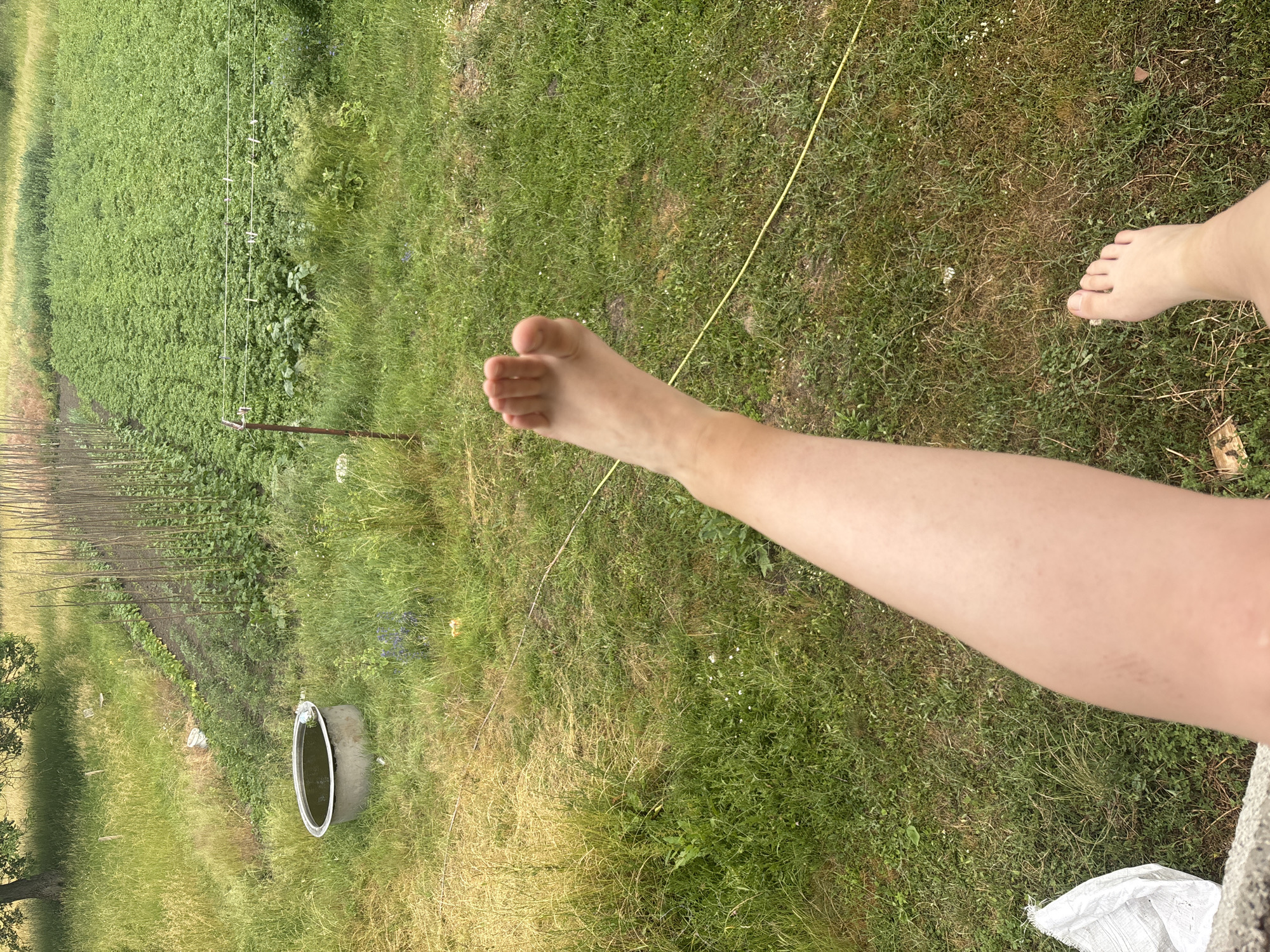 The image shows a person's bare legs and feet in an outdoor setting. The legs are positioned in the foreground and extend across the frame, with one foot visible in the upper left portion of the image and another foot in the upper right. The person appears to be sitting or lying down, as their legs are stretched out.
The setting is a grassy area with a garden or cultivated field in the background. The field is filled with rows of green plants. There is also a fence or support structure in the background, along with a circular object in the ground which may be a well or water feature. A yellow string or wire runs diagonally across the image. The grass is a mix of green and dry patches, suggesting it might be summer or late spring. The lighting indicates it is daytime, possibly late afternoon given the direction of light. There are no visible signs of specific activities or events, beyond the person being in the outdoor space. No text is visible in the image.