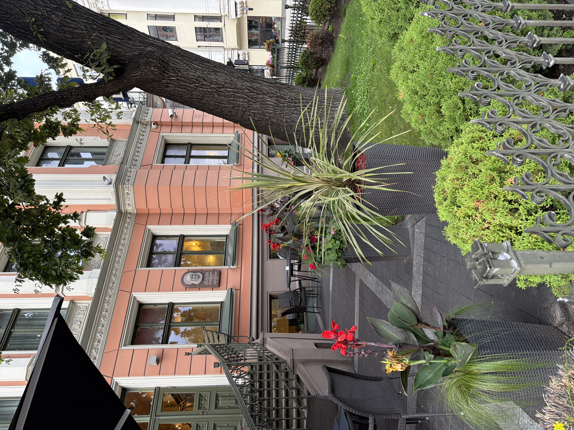 The image depicts an outdoor seating area for a cafe or restaurant in Riga, Latvia, adjacent to a historic building. The building is painted a salmon or coral color with white decorative trim around the windows and cornices. One large, mature tree with dark, textured bark is prominently featured, leaning over the seating area and casting shadows.
In the foreground, several large black planters contain lush green and spiky foliage, as well as red and yellow flowers. Wicker chairs and small tables are arranged on a dark gray paved patio. A decorative black metal fence with ornate scrollwork separates the patio from a small, grassy area with manicured green bushes. A set of stone stairs with a black metal railing leads up to a dark green door on the building. Above the stairs, a plaque with a portrait is mounted on the building wall.
In the background, other buildings can be seen, some with white facades and arched windows. Through the windows of the salmon-colored building, interior lights are visible. The sky is overcast. No people are clearly visible or engaged in any specific actions within the frame. The overall scene suggests a calm, established urban environment, likely in a historic district of Riga.