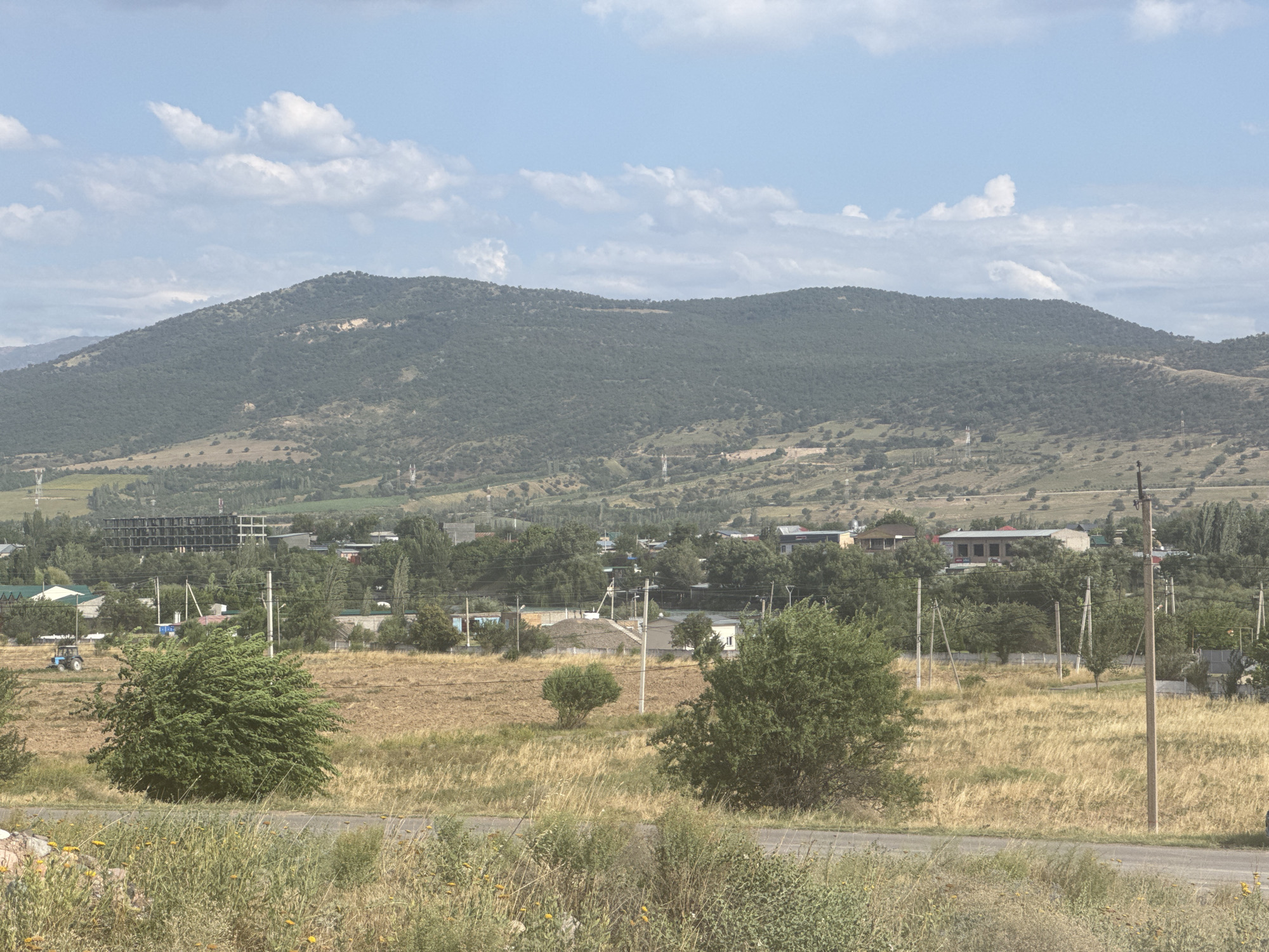The image depicts a rural landscape in Gazalkent, Uzbekistan, on a clear day with scattered white clouds. In the foreground, a dry, grassy field borders a paved road. Several large, bushy green trees are present, along with dry, yellow grass. A blue tractor is visible in the middle ground, near a cluster of buildings and more trees. Further in the distance, rolling, tree-covered hills rise, forming a mountain range. A few structures, possibly residential buildings and a multi-story construction site, are scattered across the landscape, suggesting a developing or established settlement. Power lines and utility poles are also visible throughout the scene, indicating infrastructure. The overall impression is one of a semi-arid environment with agricultural activity and a growing human presence.