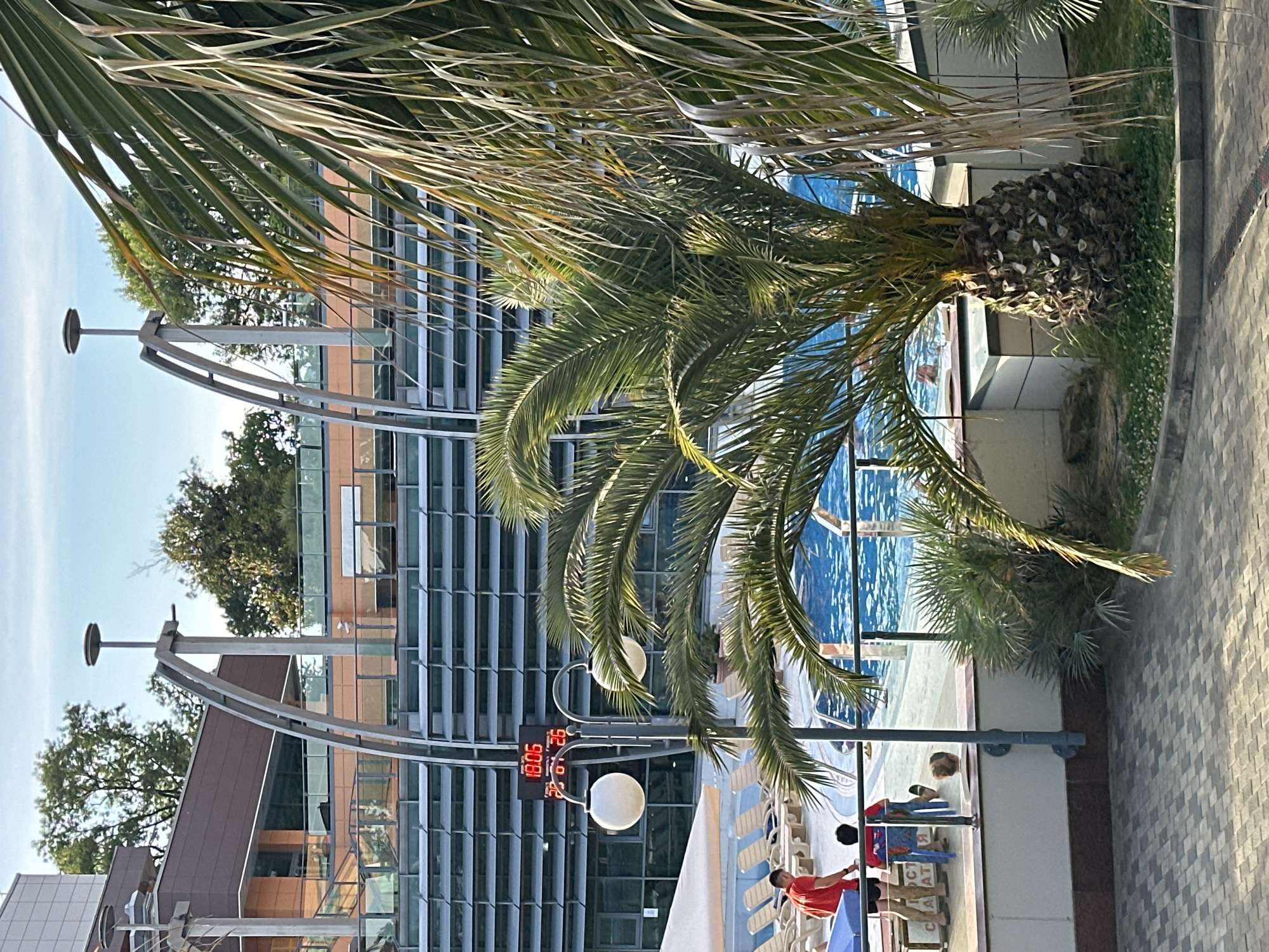 The image depicts an outdoor scene at a resort or hotel in Uch-Dere, Russia. A prominent palm tree with lush green fronds partially obscures the view of a modern building with a glass facade and a patterned exterior. Adjacent to the building is a swimming pool with blue water, where a few people can be seen.
In the foreground, a streetlamp with two circular lights stands next to a digital clock displaying "18.06" and "26" which likely indicates the time and temperature. Near the pool, several individuals are present. One person, wearing a red shirt, is seated, while another, also in red, is standing. Two children are also visible, one of whom is looking down. The presence of lounge chairs suggests a leisurely atmosphere.
The setting appears to be a sunny day, given the bright lighting and shadows. The architecture of the building, the presence of palm trees, and the pool area all point towards a warm-weather vacation destination. The paving stones in the lower right corner and the tiled facade of the building provide additional visual cues about the location.
There is some visible text on a banner or sign near the children, but it is partially obscured and difficult to read clearly. The overall mood seems relaxed and summery, consistent with a resort environment.