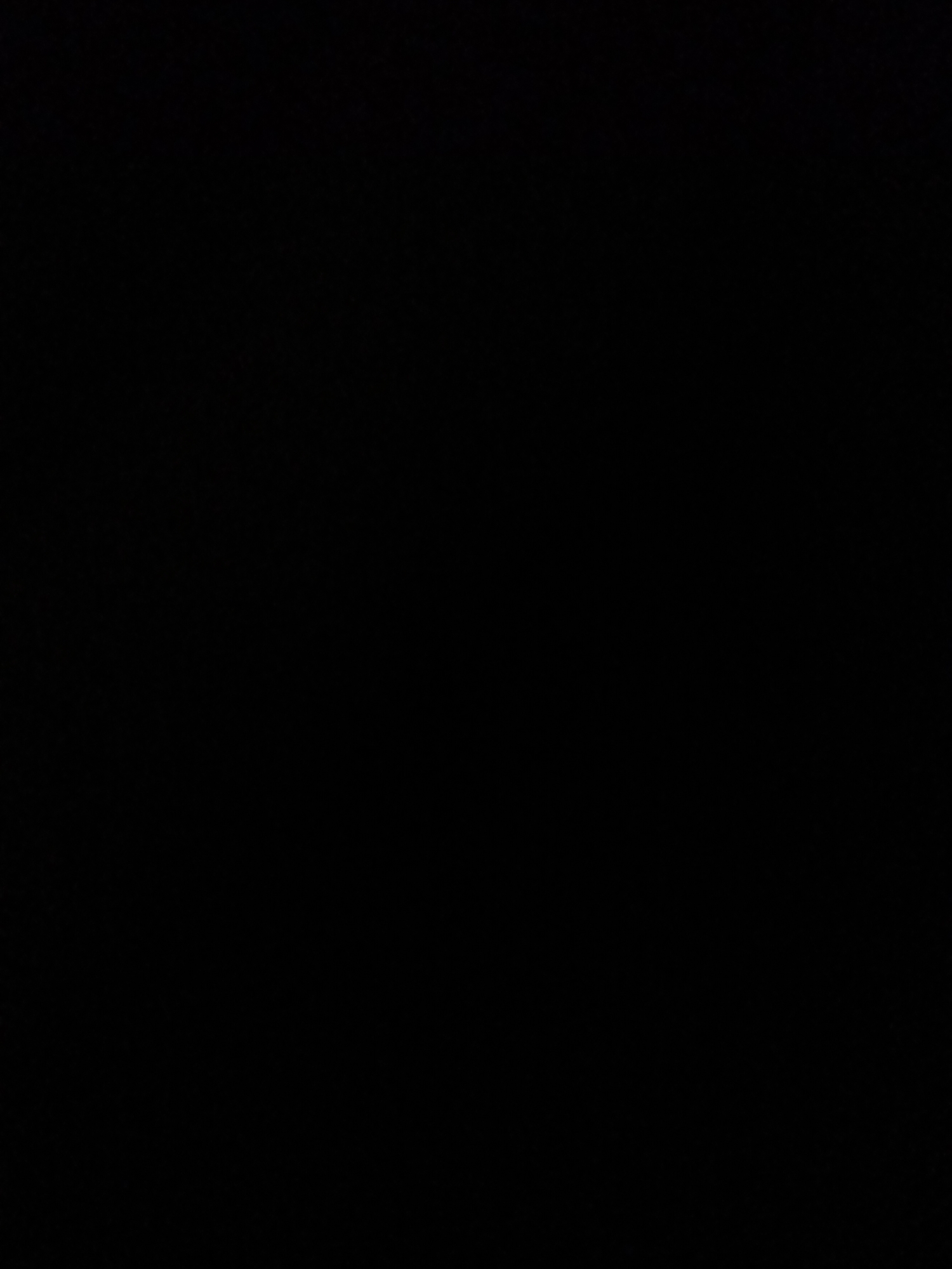 This media file is entirely black. There are no discernible subjects, activities, or details to describe. The blackness offers no clues about the time of day, weather, location, or emotions. There is no visible text.