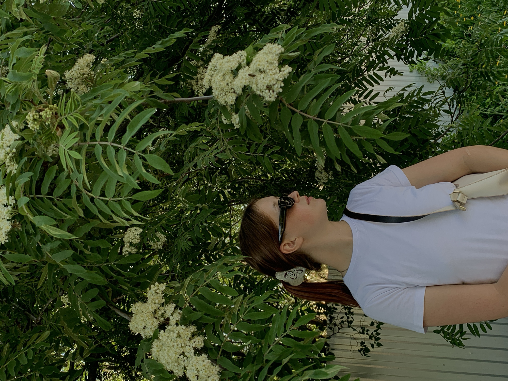 A young woman with brown hair pulled back into a ponytail, adorned with a white butterfly hair clip, looks upwards towards dense greenery and clusters of small white flowers. She is wearing sunglasses and a white t-shirt with a black strap across her shoulder. The background consists of foliage and a corrugated metal fence. The image was taken in Фоки, Russia.
