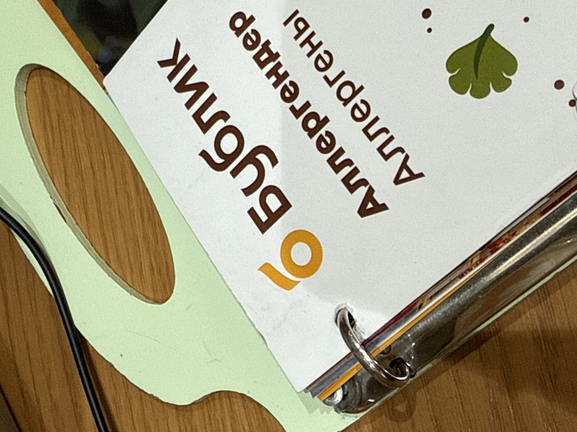 The image displays a close-up, angled view of a white sheet of paper from an open binder, resting on a light green, shaped object. The paper features bold brown text in Cyrillic script, clearly showing "Бублик" (Bublik) at the left and "Аллергендар" (Allergendar) and "Аллергены" (Allergeny) further right, oriented at an angle. An orange symbol resembling the number "6" or a stylized "o" is printed below "Бублик". Above and to the right of the text, a small green leaf-like emblem is visible, accompanied by several tiny brown dots.
The paper is held by a metal ring binder. The light green object, which has an irregular, possibly decorative cut-out shape, reveals a wooden surface underneath. A dark, thin cable is partially visible along the lower left edge of the frame, resting on the wooden surface. The scene is brightly lit, suggesting an indoor setting. No individuals or specific activities are depicted; the focus is on the textual and material details.