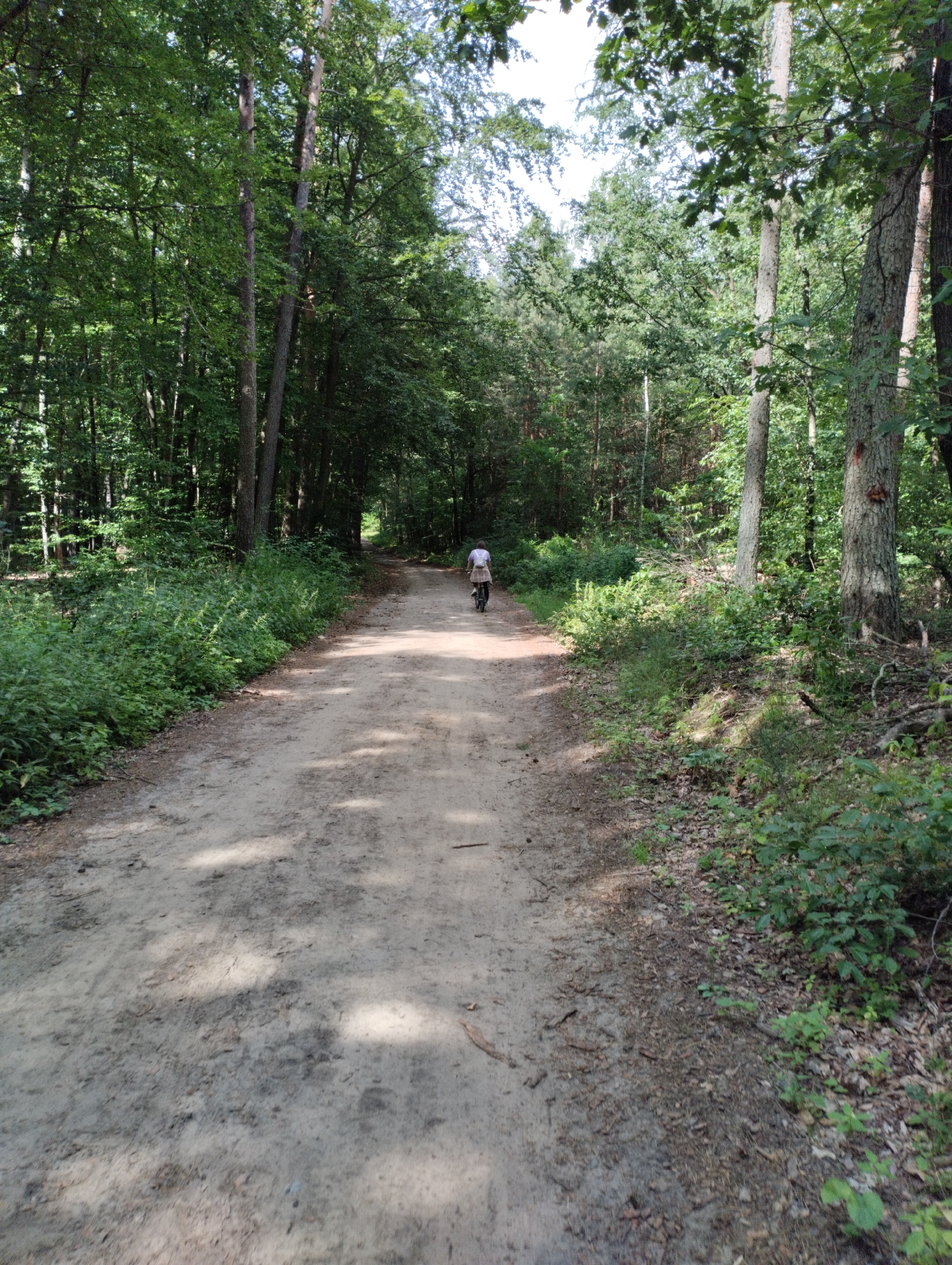 A person is riding a bicycle on a dirt road through a forest in Kicin, Poland. The road is unpaved and appears to be in a rural or natural setting. The forest is dense with tall trees and lush green foliage. The person is wearing a light-colored shirt and dark shorts, and is riding away from the camera. The sunlight filters through the trees, creating dappled shadows on the road. The overall impression is one of a peaceful, natural scene.