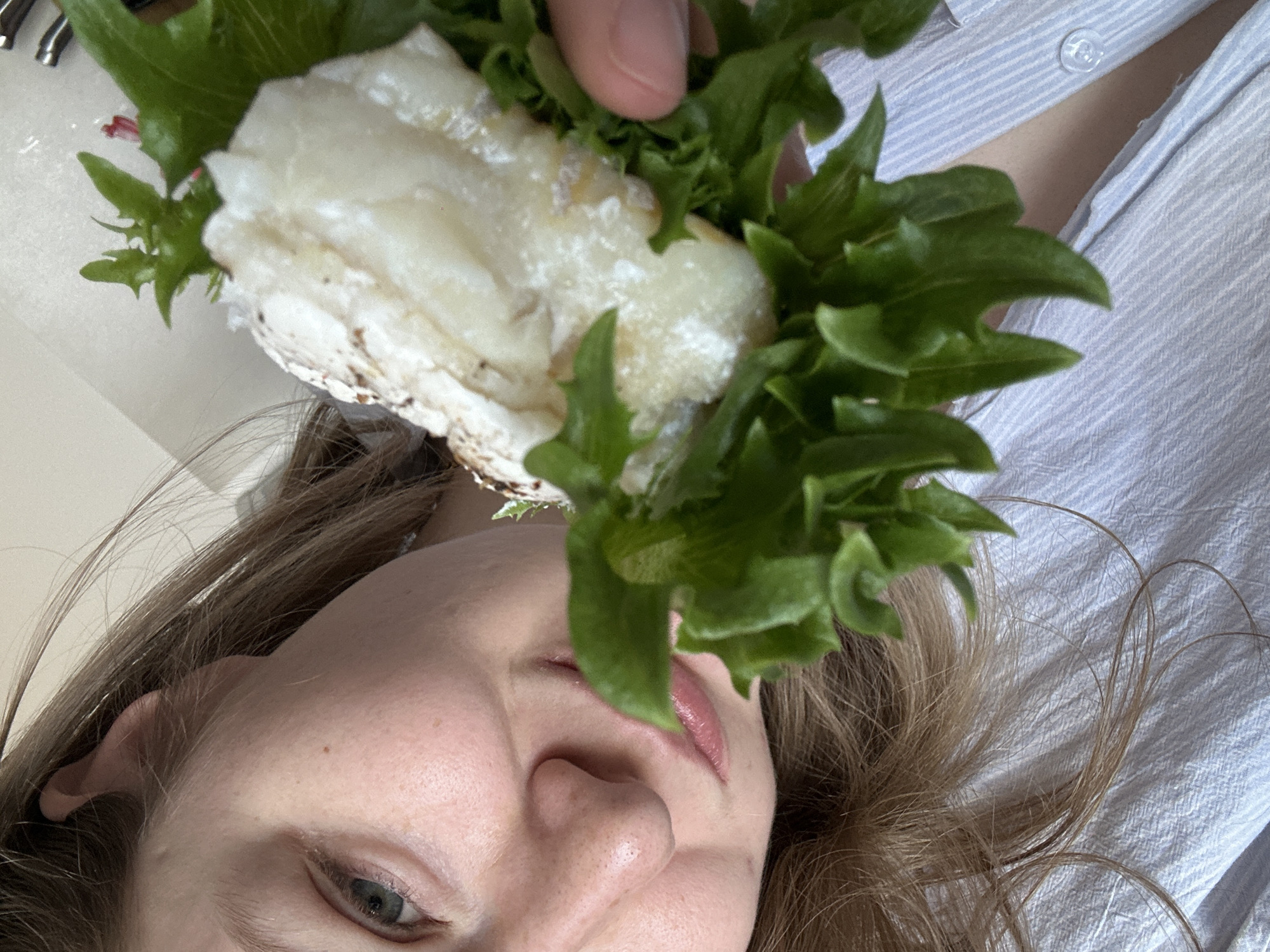 A person is holding a sandwich with white filling and green lettuce in front of their face. The person has light skin, brown hair, and is wearing a blue striped shirt. The background includes a white surface and the person's hair. The location is not identifiable as Kazan, Russia.