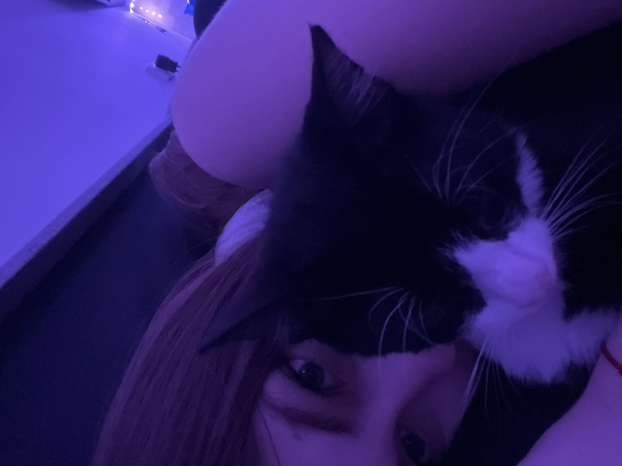 The image shows a close-up of a person's face, partially obscured by a black and white cat. The person has light brown hair and one visible eye. The cat is positioned on the person's face. The lighting is predominantly purple. The background contains a light-colored surface with some indistinct objects. There is no evidence to suggest this image was taken in Saint Petersburg, Russia.
