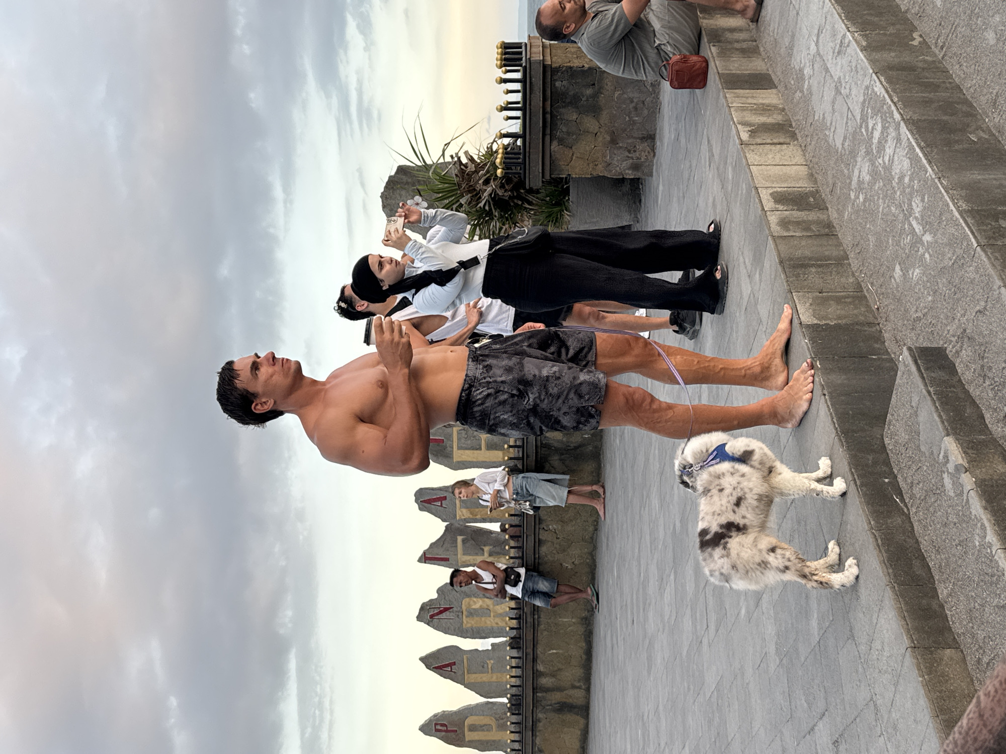 The image depicts a scene in Mengwi, Indonesia, likely near a scenic viewpoint. A shirtless man with dark hair and athletic build stands at the forefront, facing left. Behind him, a group of people are taking photos. A white and grey spotted dog, wearing a blue harness, is lying on the paved ground. In the background are large stone structures with some kind of writing on them. The sky is overcast.