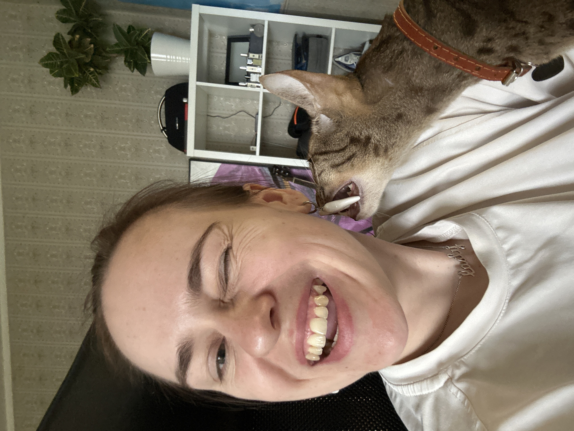 This media file captures an indoor scene in Moscow, Russia, featuring a young adult woman and a domestic cat engaged in a playful interaction. The image is oriented with the subjects appearing rotated, suggesting the woman might be lying down or leaning back.
The cat, a brown tabby with a visible brown leather collar, is seen with its mouth open, playfully holding a white, oval-shaped fishing lure or toy very close to the woman's face. The woman is smiling broadly, her eyes squinted in amusement or laughter, indicating a joyful reaction to the cat's antics.
She is wearing a plain white t-shirt and a silver necklace that reads "blessed." In the background, there is a light-colored, patterned wall and a white open shelving unit. The shelves contain various items, including what appears to be speakers or small electronic devices and tangled cables. A green potted plant in a white pot is placed on top of the shelving unit. A black object, possibly headphones or a cap, is partially visible behind the woman's head. The lighting suggests it is daytime. The overall mood is lighthearted and affectionate, highlighting the bond between the woman and her pet.