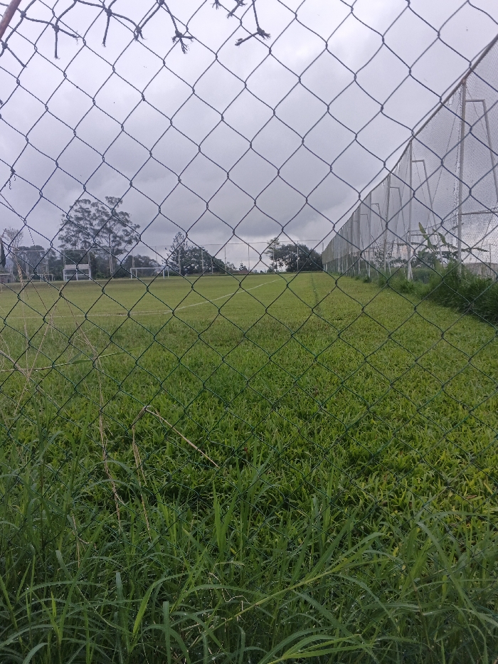 A soccer field stretches behind a chain-link fence under a cloudy sky. Lush green grass covers the field, marked with white lines. In the foreground, tall, untrimmed grass grows right up to the fence. A secondary fence runs along the right side of the field, constructed of poles with mesh panels. Scattered trees dot the landscape in the background.