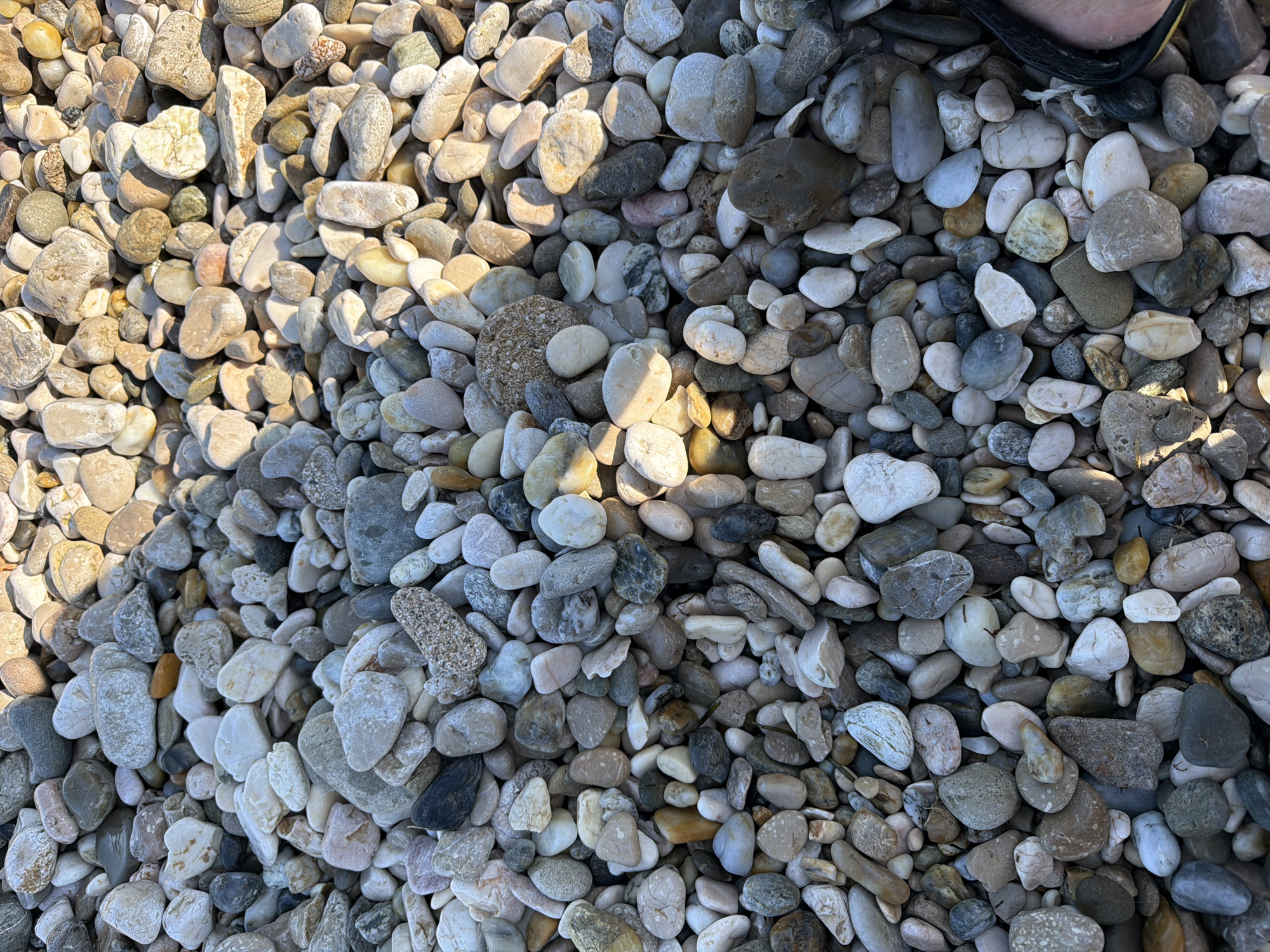 This media file is a close-up, overhead shot of a beach covered in various sizes and colors of smooth pebbles. The pebbles range from white, beige, and light gray to darker grays, browns, and even some with speckled patterns. Sunlight casts distinct shadows across the stones, indicating a sunny day. In the upper right corner, a small portion of a person's foot, wearing a dark sandal, is visible, suggesting the photo was taken by someone standing on or near the beach. The scene is a natural outdoor setting, likely a beach or shoreline. The texture of the pebbles is varied, with some appearing almost polished and others rougher. The lighting creates a strong contrast between the illuminated and shadowed areas, highlighting the three-dimensional nature of the pebble-covered surface. The location is identified as Općina Baška, Croatia. No text is visible in the image.