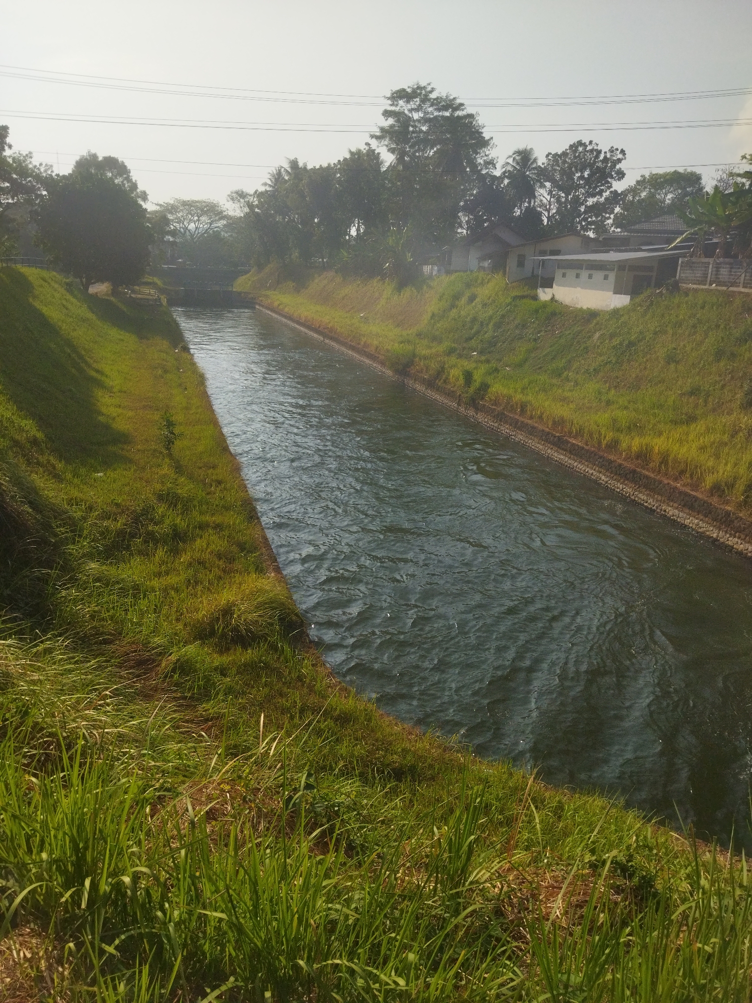 The image depicts a canal or river flowing through a semi-urban or rural area in Banjar, Indonesia. The canal has well-maintained grassy banks, with some sections reinforced by stonework. Lush green grass covers the slopes of the banks, with some taller blades of grass in the foreground.
On the right bank, several buildings with tiled roofs are visible, suggesting a residential or community area. Trees of various sizes, including palm trees, line the background, creating a natural barrier. In the distance, a structure that appears to be a small bridge or sluice gate spans the canal, indicating water management infrastructure. The sky is bright and hazy, suggesting a sunny day.
The water in the canal is dark and shows ripples, indicating a flowing current. There are no people or animals clearly visible in the frame. Power lines are also present overhead, stretching across the sky, a common feature in Indonesian landscapes. The overall scene is tranquil and natural, with elements of human settlement integrated into the environment.