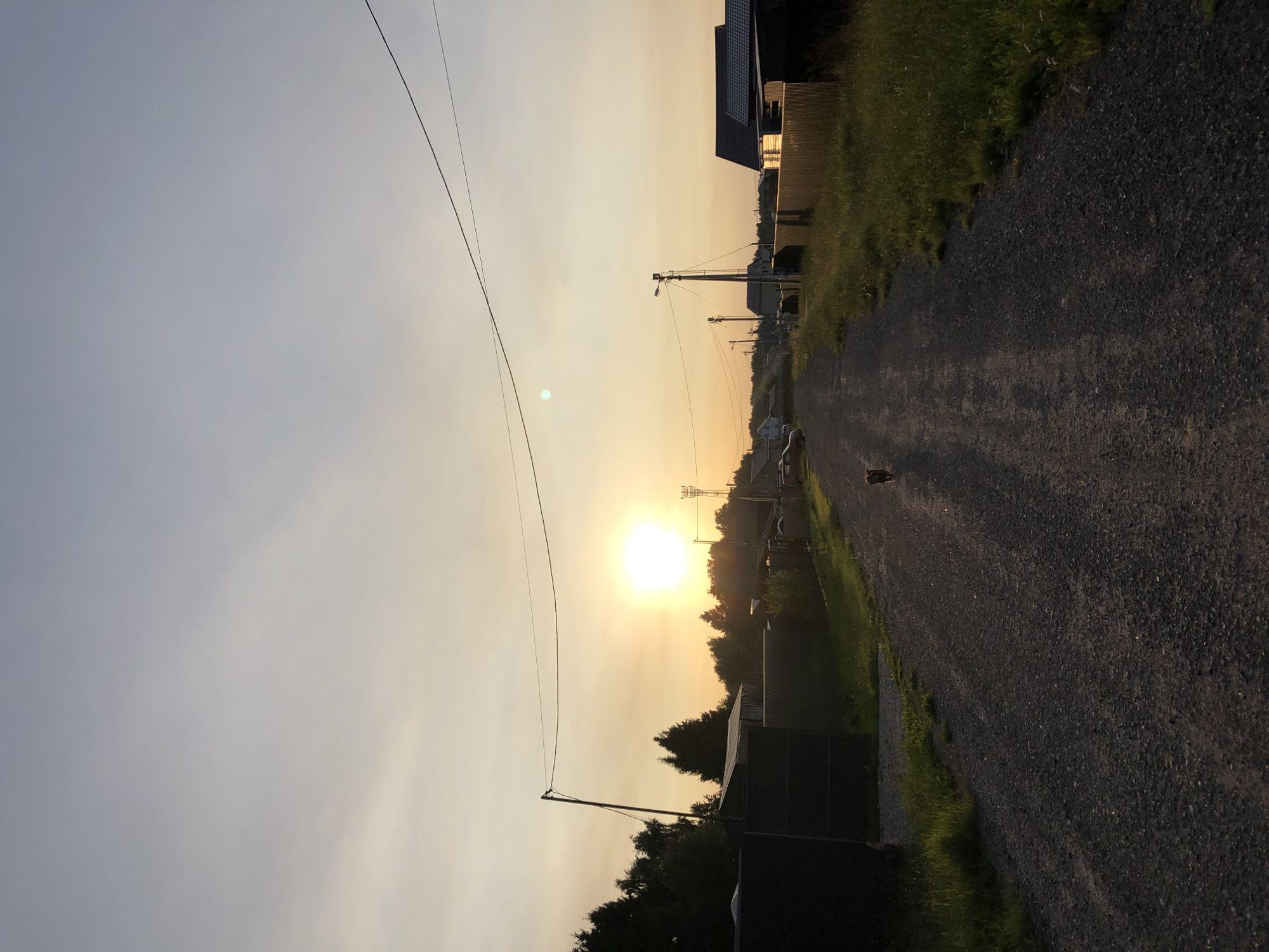 The image depicts a rural road in the village of Krasnaya Presnya, SNT, Russia, during sunset. The sun, a bright orb, hangs low in the sky, casting a warm, golden-orange glow. The sky transitions from a pale blue at the top to a hazy yellow near the horizon, with thin clouds scattered across it.
The road is unpaved, composed of gravel and dirt, and stretches into the distance, lined with houses and fences on either side. The houses appear to be small, rural dwellings, some with corrugated metal roofs. Tall, dark green trees, likely pines or firs, form a dense line behind some of the houses, silhouetted against the setting sun.
In the foreground, a small, reddish-brown dog is walking away from the camera down the center of the road. The dog is the only visible living creature. Electrical wires are strung across the scene, supported by wooden poles, suggesting the presence of electricity in the area. The overall atmosphere is serene and tranquil, characteristic of a peaceful evening in the countryside.