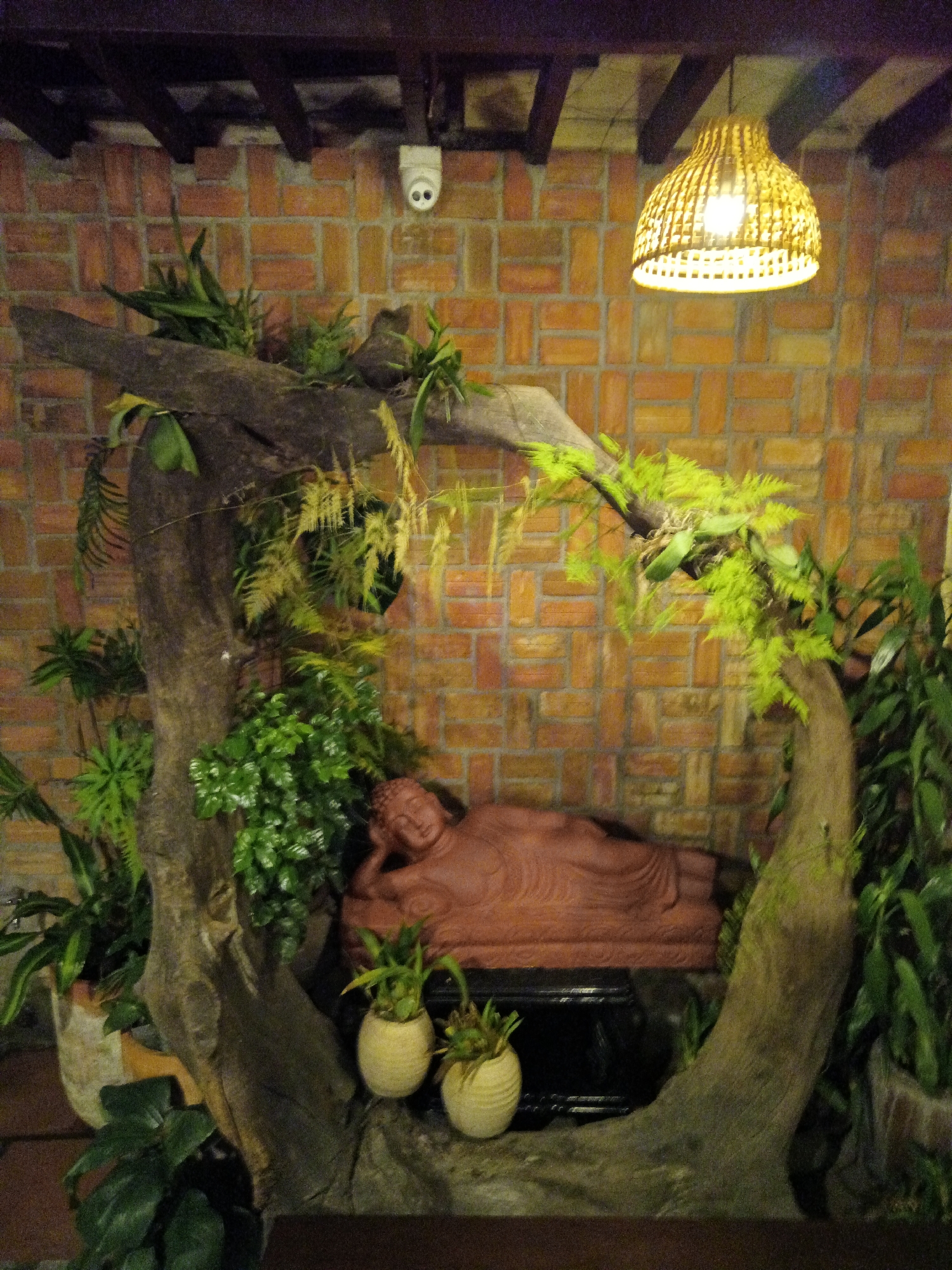 The image depicts an indoor scene with a religious/spiritual theme. Dominating the frame is a reclining terracotta statue of Buddha, nestled within a structure made of intertwined branches and plants, creating a natural alcove. Two small, light-colored pots containing plants flank the statue at its base. Lush greenery surrounds the statue and the branch structure, lending the setting a sense of tranquility.
The backdrop is a brick wall with a textured pattern. At the top of the wall, a security camera is mounted. A woven, cylindrical lampshade hangs from the ceiling, casting a warm glow that highlights the textures of the scene. The location is Nha Trang Ward, Vietnam.
