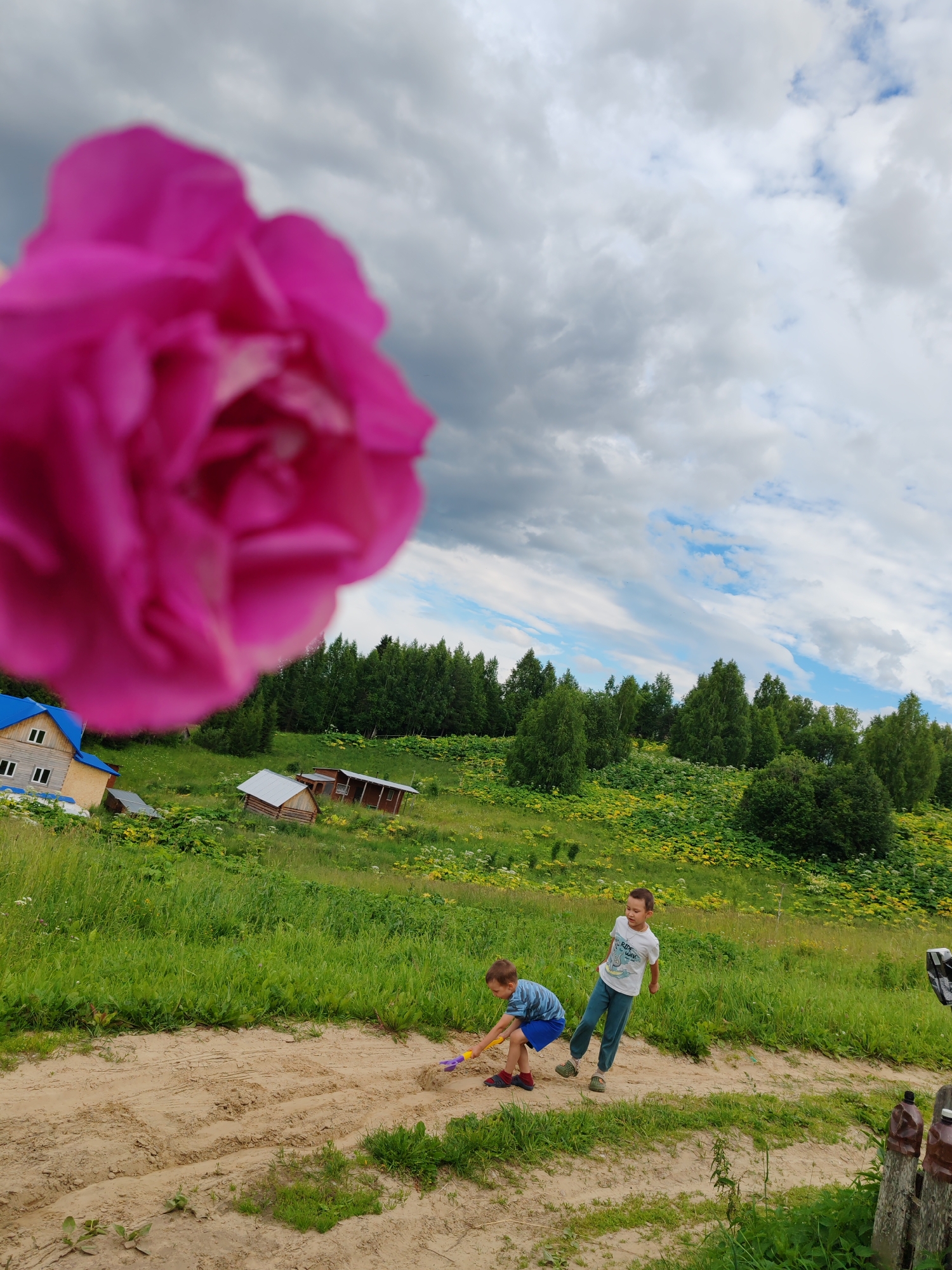 In Чухлэм, Russia, two young boys play in a sandy area with a backdrop of lush green hills and trees under a cloudy sky. A large, out-of-focus pink flower dominates the foreground, obscuring the upper left portion of the image. One boy, wearing a striped blue t-shirt and blue shorts, crouches down, actively digging in the sand with a yellow toy shovel. The other boy, in a white t-shirt and blue pants, stands nearby, looking towards the right.
Behind them, a sloping green field is dotted with yellow wildflowers and bordered by a dense line of green trees. Further in the distance, several small wooden structures, resembling cabins or sheds, are visible nestled on the hillside. A house with a blue roof is also present on the left side of the frame. The sky is dramatic, with a mix of dark and light grey clouds interspersed with patches of blue sky, suggesting variable weather conditions. The scene appears to be set during the daytime, possibly late afternoon given the lighting. The overall mood is one of playful childhood activity in a rural, natural environment.