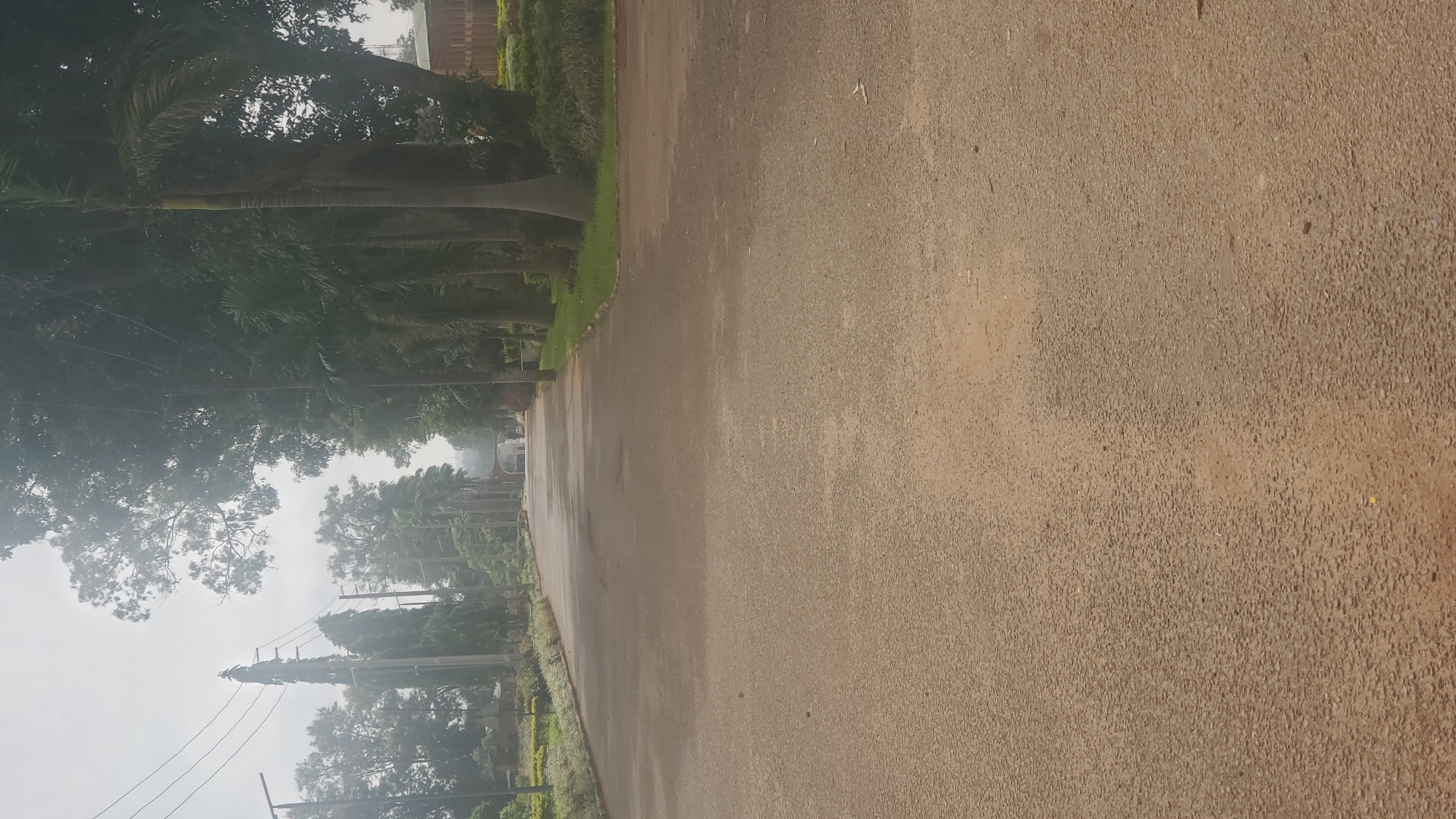 The image depicts a paved road extending into the distance, lined with trees and vegetation on either side. The location is Vom, Nigeria, based on the provided context. The road surface is rough and appears somewhat worn. The trees are tall and dense, with some displaying palm-like fronds. The sky is overcast, giving the scene a muted, slightly hazy appearance. A vehicle can be seen distantly on the road. Power lines are visible.