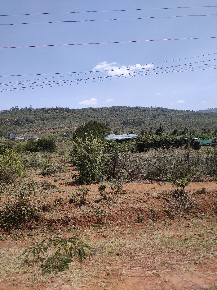 A hilly landscape under a clear blue sky. A field of dry, reddish-brown soil is scattered with sparse vegetation. Bushes and small trees fill the midground, partially obscuring a house with a turquoise roof. Electrical wires stretch across the top of the frame. More dense trees and shrubs cover the hillside in the background.