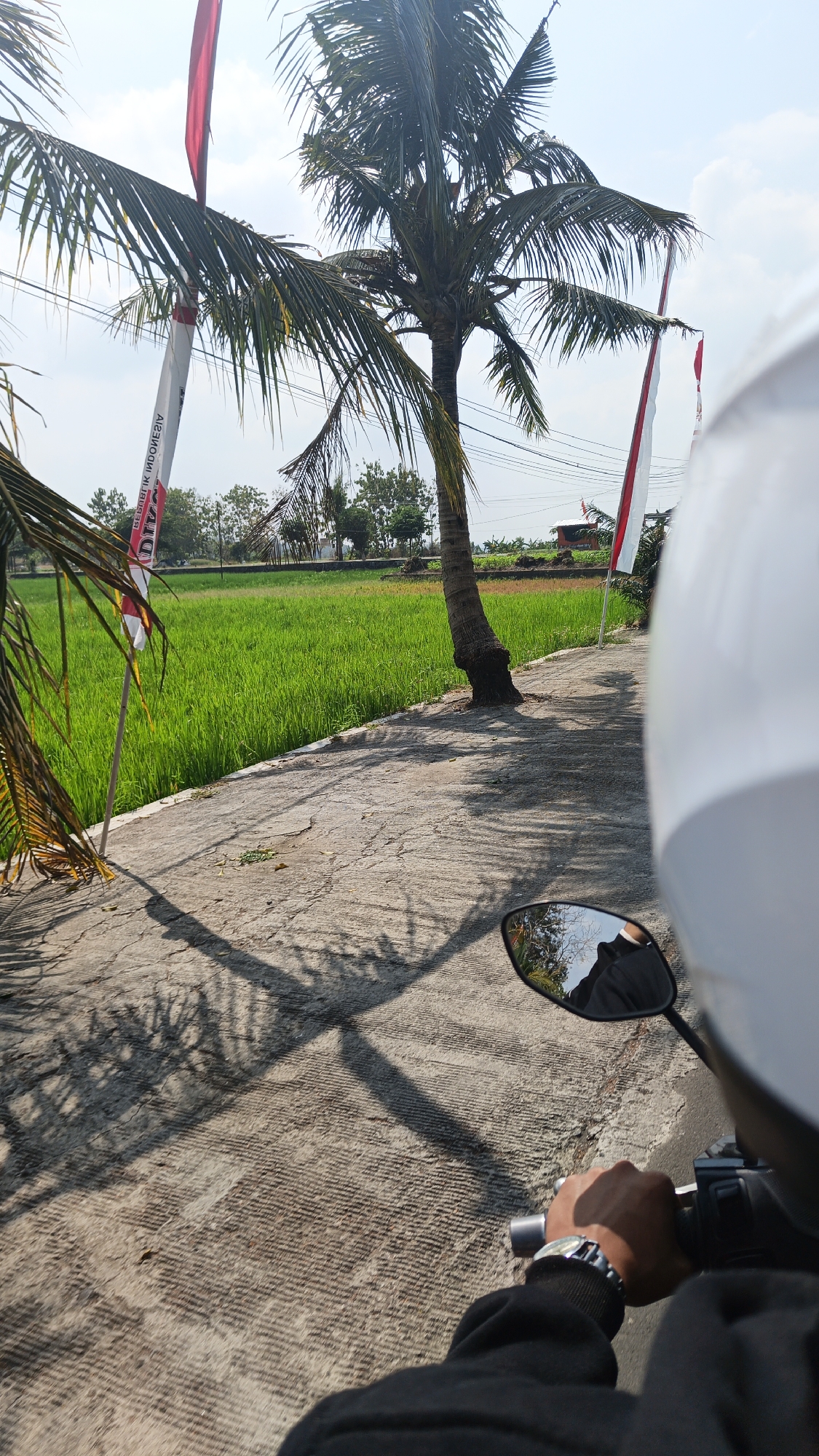 The image shows a first-person perspective of someone riding a motorcycle in Desa Sobokerto, Indonesia. The rider's gloved hand is on the handlebars, and their white helmet is visible in the foreground. The scene features a bright, sunny day with a clear blue sky and some clouds. To the left of the paved road, a lush green rice field stretches into the distance. A tall coconut tree stands near the road, with its fronds casting shadows on the concrete surface. Two Indonesian flags, red and white, are planted on poles along the road. In the reflection of the motorcycle's rearview mirror, the rider's dark jacket and a building are visible. The road itself is made of concrete with a textured surface and shows some cracks and wear. Electrical wires are strung overhead. In the background, trees and a small structure with a roof can be seen.