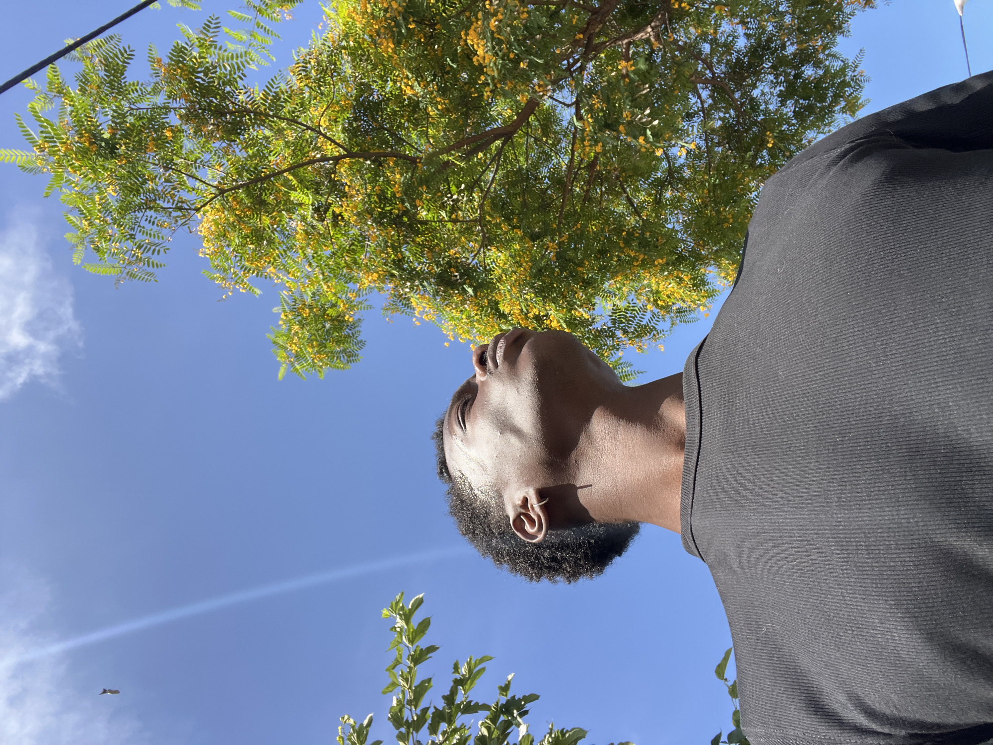 In Sant Adrià de Besòs, Spain, a low-angle shot captures a young Black person looking upwards towards a bright blue sky. The individual is wearing a black ribbed t-shirt. To the right, a tree with vibrant green leaves and small yellow flowers fills a significant portion of the frame. In the background, a lens flare creates a diagonal streak of light across the sky, and a single dark bird is visible in flight. The overall scene is outdoors, suggesting a sunny day with clear weather conditions.