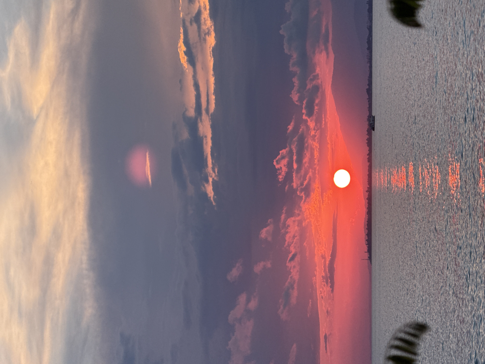 The image depicts a vibrant sunset over a body of water, likely the Black Sea, near Yuada-Gulrypsh, Abkhazia. The sky is a dramatic canvas of colors, transitioning from soft orange and yellow hues at the top to deep reds and purples closer to the horizon. Clouds are scattered throughout, some tinged with the fiery glow of the setting sun.
The sun, a brilliant orb of white and orange, is positioned low on the horizon, casting a shimmering reflection on the rippling water. In the distance, a silhouette of mountains forms the backdrop to the scene, with a subtle outline of a cityscape or town along the coastline. A small boat can be seen traversing the water. In the foreground, the dark, leafy fronds of what appears to be a palm tree are partially visible on the left and right sides of the frame, adding a touch of tropical ambiance. The overall atmosphere is one of serene natural beauty.