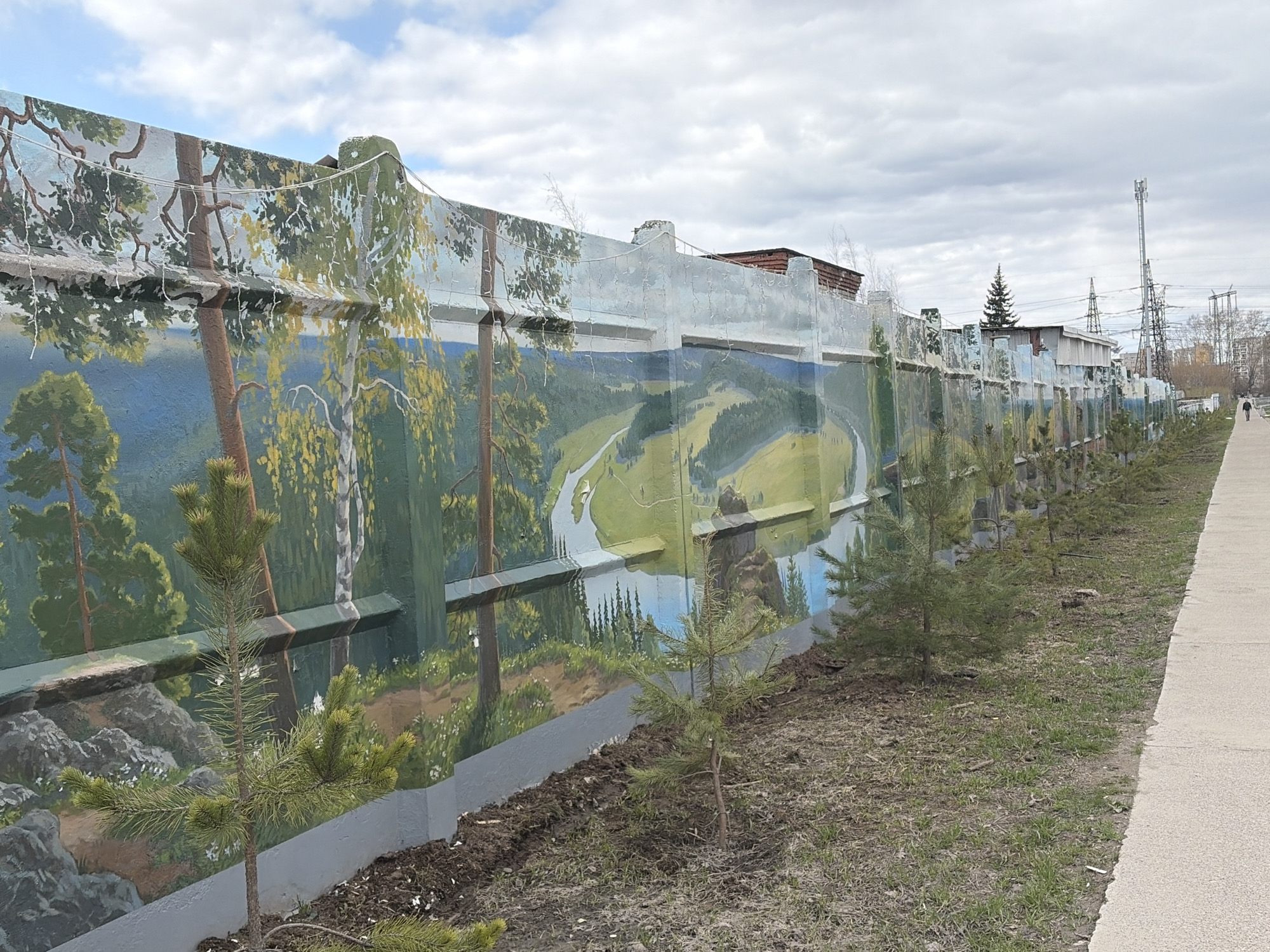 A painted concrete wall runs along the side of a street in Chaikovsky, Russia. The wall is painted with a landscape scene depicting a river valley with trees and hills. Young pine trees have been planted along the base of the wall. To the right of the wall is a sidewalk, and beyond the wall, power lines and buildings can be seen. A person walks in the distance on the right. The sky is overcast.