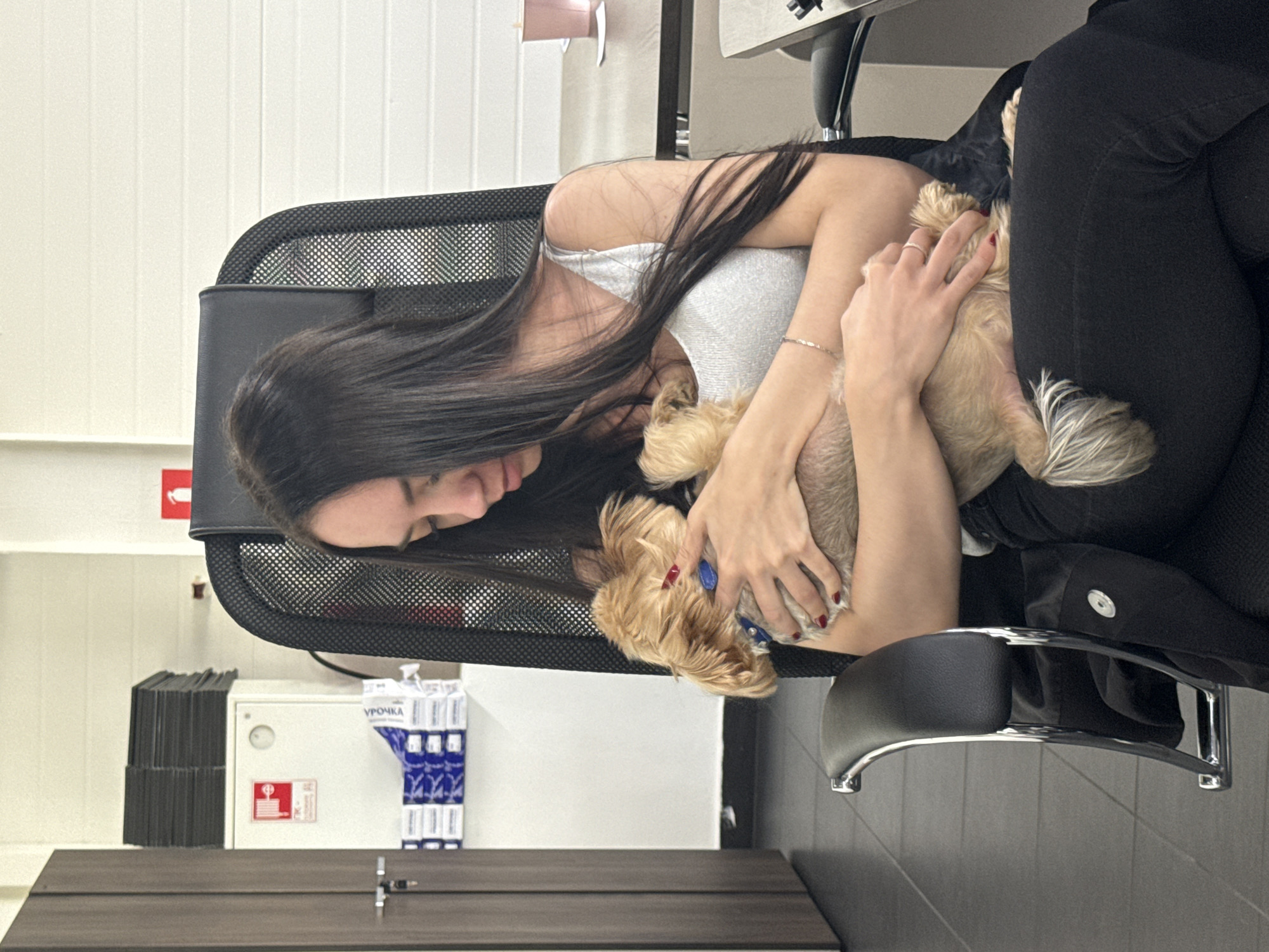 A young woman with long, dark hair sits in a black office chair, holding a small, light brown dog in her arms. She is wearing a silver tank top and black pants. The dog is wearing a blue collar. The woman is looking down at the dog. The background appears to be an office environment with white walls and desks. There are stacks of black folders on a shelf in the background, as well as a white cabinet with a red fire extinguisher symbol. The floor is tiled. The overall impression is one of a relaxed moment in an office setting. The provided image does not contain specific details that allow for its localization in Nizhny Novgorod, Russia.