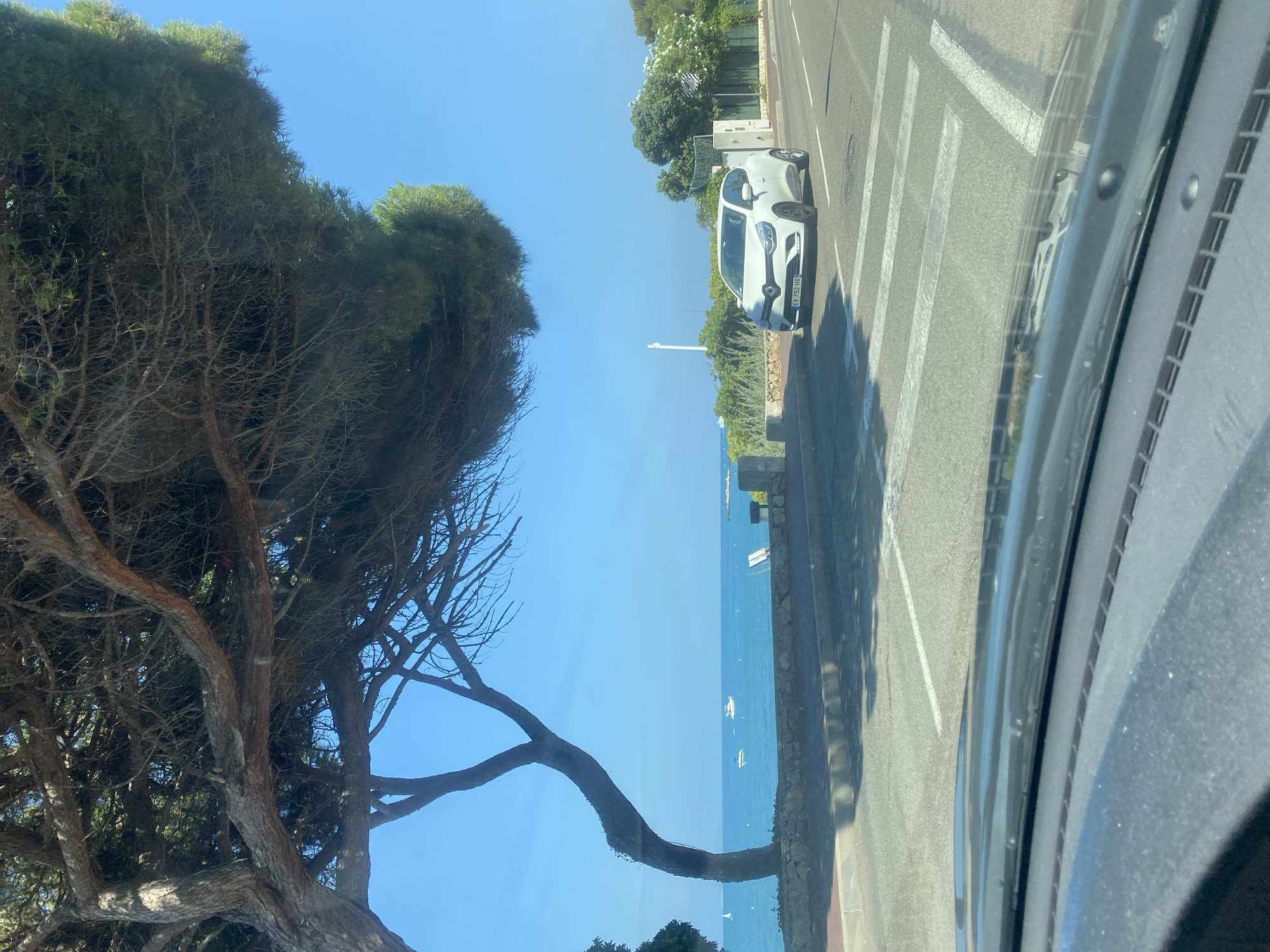 An outdoor, slightly elevated, eye-level, full shot captures a view through a car's windshield looking towards a coastal road and the Mediterranean Sea. The foreground is dominated by the interior of a car, showing the dashboard and windshield. Outside, a white Renault Clio is parked on the right side of the road, facing left, with its license plate EV-792 HX visible. The road features white pedestrian crossing lines. To the left of the road, a stone wall separates it from a sidewalk and then the sea. The sea is a vibrant turquoise, dotted with several small white boats and a sailboat. A large, mature tree with a distinctive, twisted trunk and dense green foliage extends from the left side of the frame, casting a shadow over the road and foreground. The sky is a clear, bright blue. The scene appears to be in Antibes, France, given the presence of boats and the Mediterranean coastal scenery.