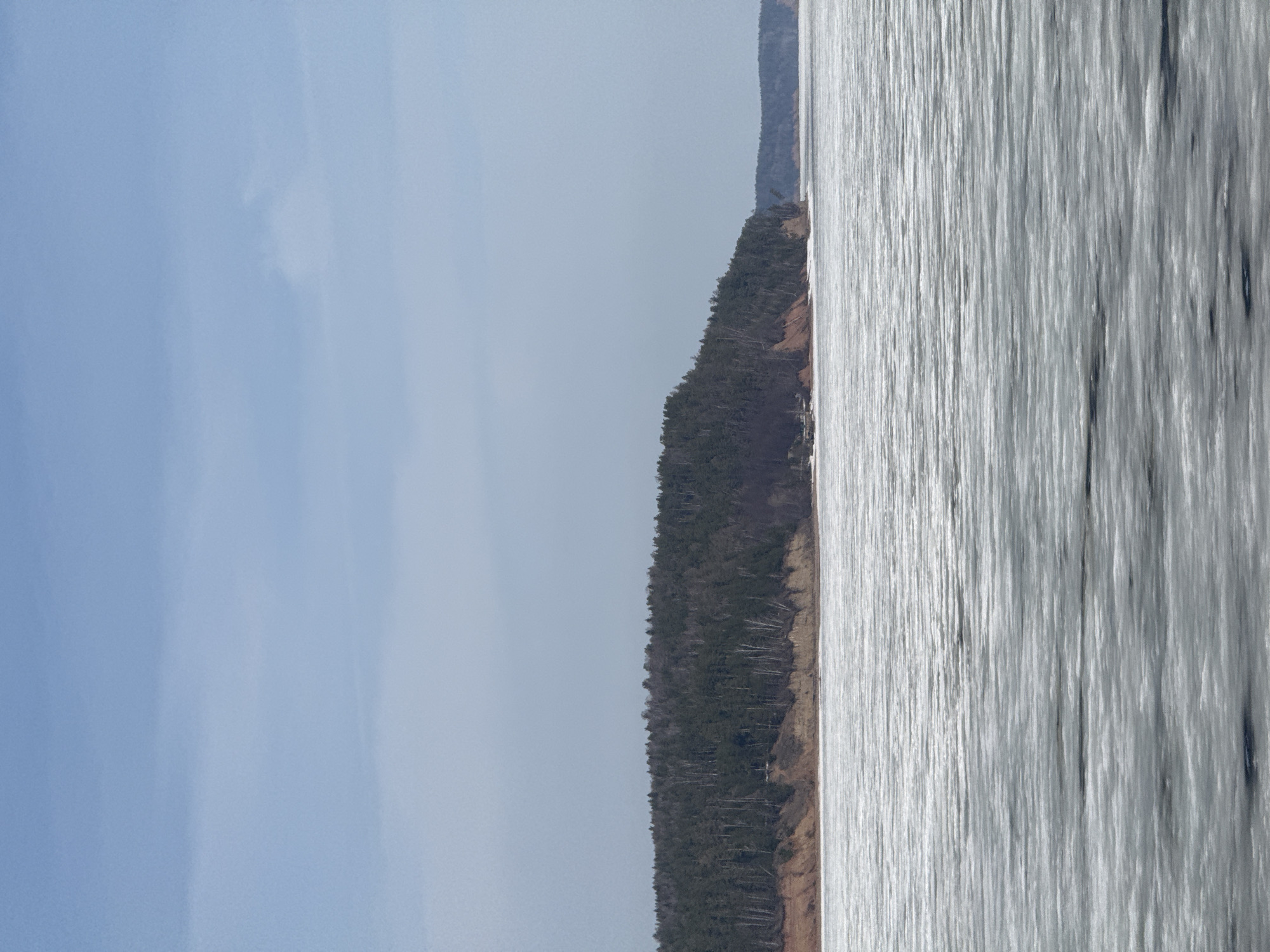 The image depicts a body of water, likely a river or lake, adjacent to a forested shoreline. The water surface has a reflective, textured appearance, suggesting movement or a slight ripple effect. A dense forest runs along the water's edge, with a mix of evergreen and deciduous trees. The sky is a pale blue with some clouds. The scene appears to be in a natural setting. Without additional information, the exact location in the city of Chaikovsky cannot be determined.