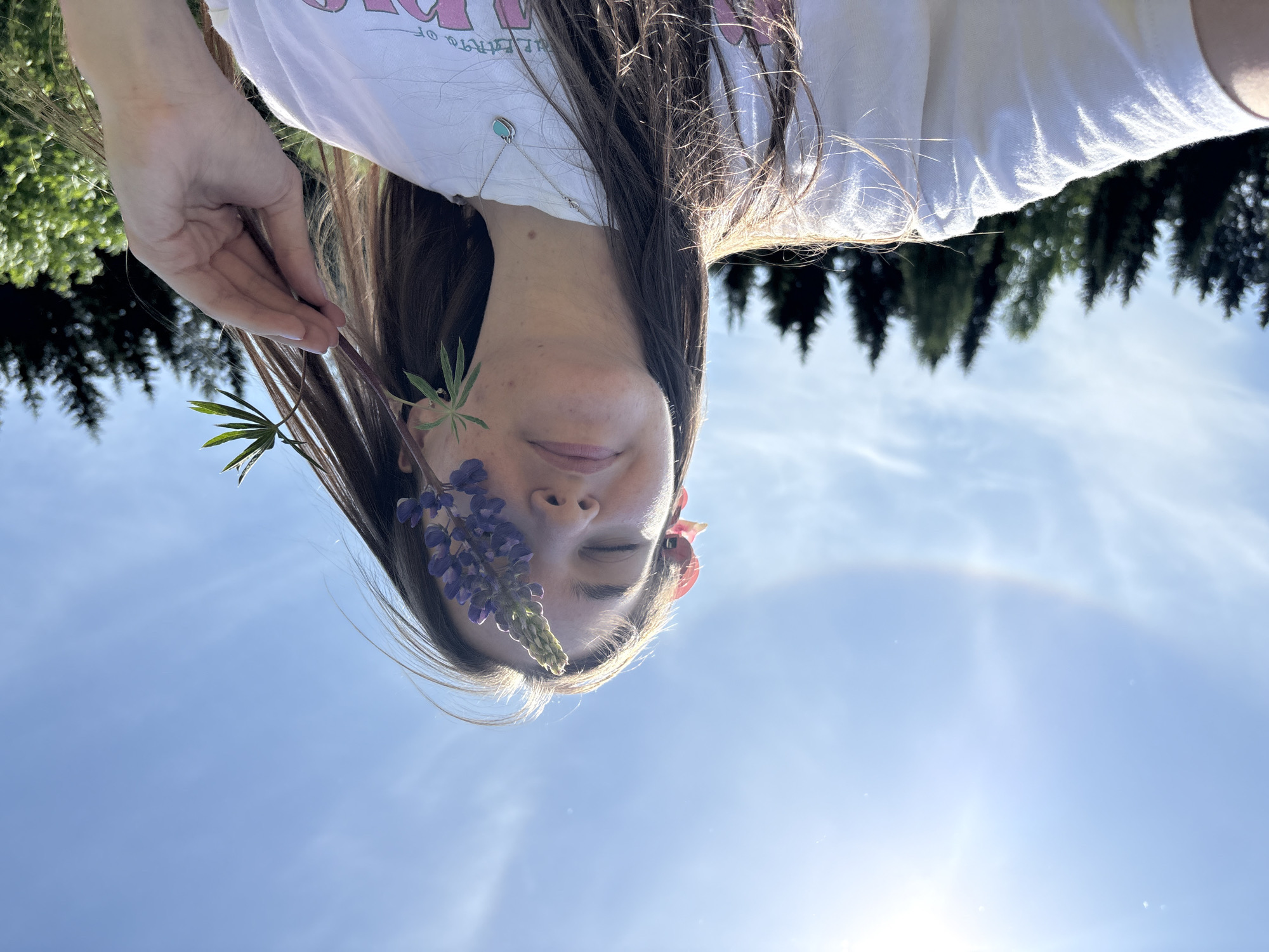 A woman is positioned upside down, with a blue sky as the backdrop. She has long brown hair and is wearing a white t-shirt with a colorful design. She is holding a lupine flower in front of her face, with the purple blossoms covering her eye. She is holding a flower in front of the nose. In the background, there are green trees and a partial solar halo is visible in the sky. The location is inferred as Sibir', Russia.