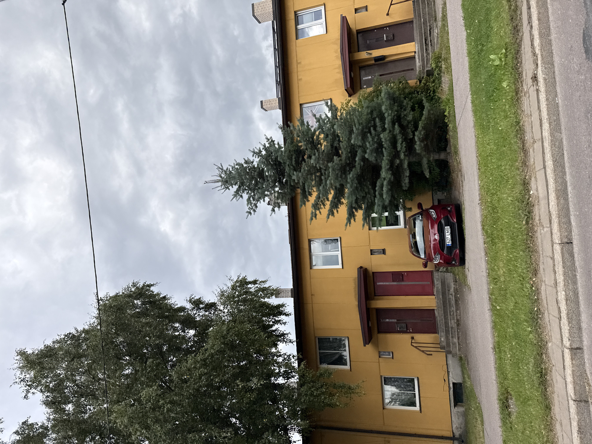 The image shows a street scene in Tallinn, Estonia. A yellow apartment building with red doors and white-framed windows is the central focus. A red car is parked in front of the building. Two evergreen trees and a deciduous tree are present in front of the building, along with a sidewalk and a grassy area. The sky is overcast.