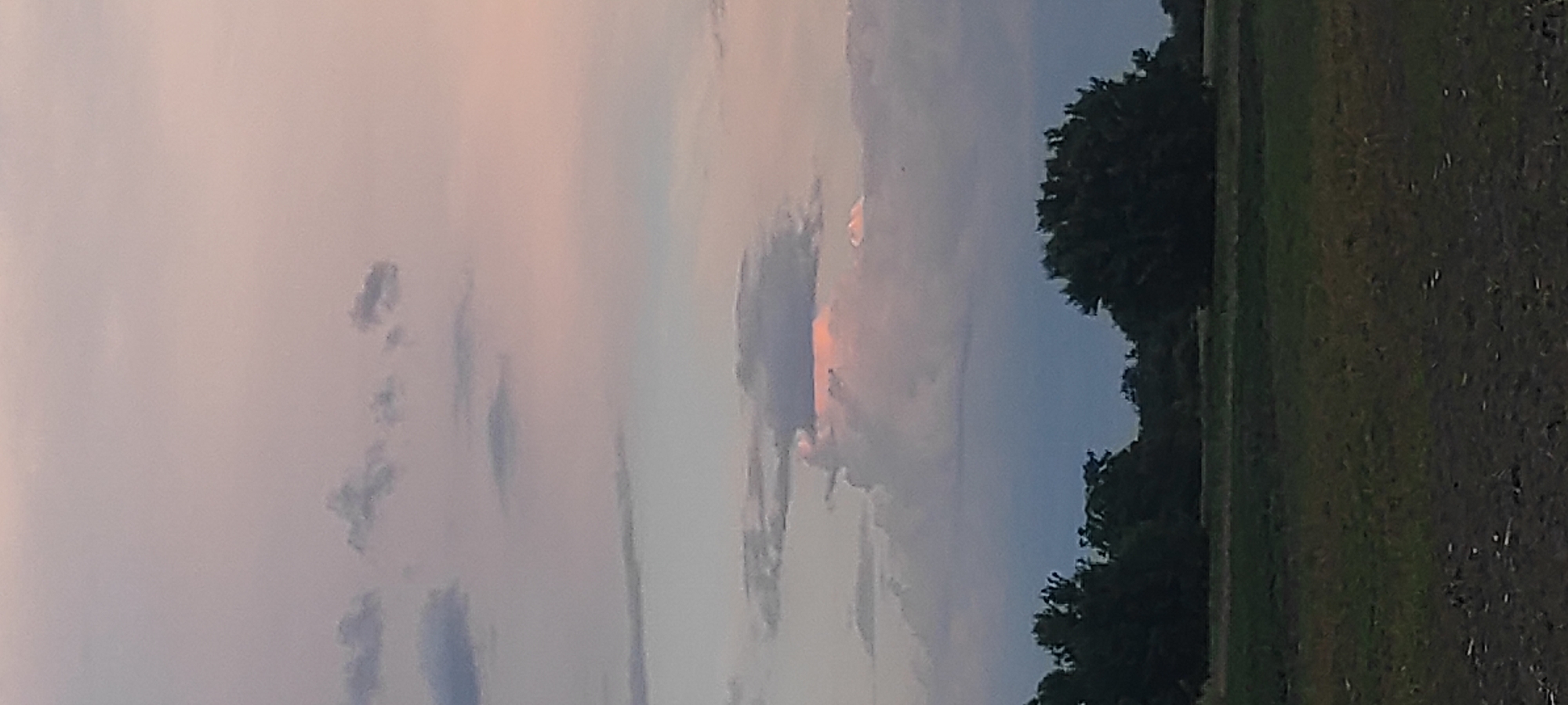The image depicts a rural landscape under a twilight sky, likely near Kobeliachok, Ukraine. In the foreground, a field with dark soil and sparse green vegetation is visible. A line of dark green trees forms a dense border across the middle ground. The sky above is a blend of soft purples, grays, and hints of pink, with scattered clouds. One prominent cloud formation in the upper-mid portion of the sky is illuminated from within by a warm pinkish-orange light, suggesting the setting or rising sun is catching its edges. The overall scene conveys a tranquil, natural setting.