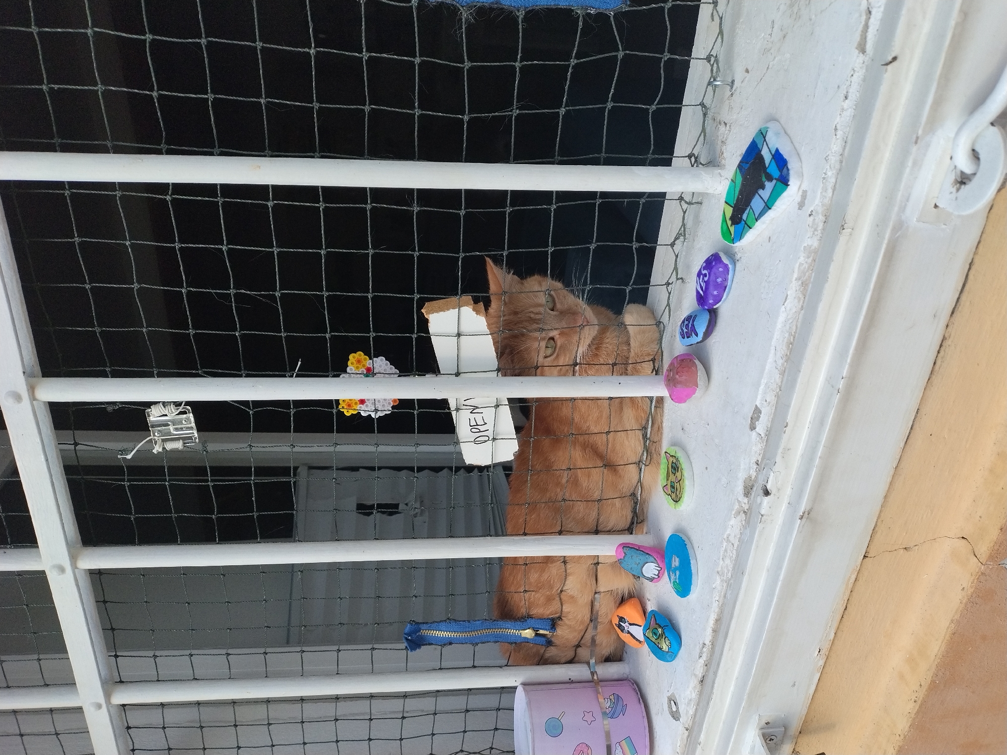 An orange tabby cat is lying on a windowsill behind a white metal security grate and netting. The cat is partially obscured by the grate and netting, but its head and front paws are visible. The cat's eyes are open and it appears to be looking at the camera. In front of the cat, on the windowsill, are several small, decorative painted stones, some of which depict cats. To the left of the cat is a pink cylindrical container with cartoonish drawings. A piece of white paper with "OPEN" written on it is attached to the inside of the grate above the cat. The background appears to be dark. The windowsill is chipped and weathered. The scene is likely an exterior view of a window in a residential or commercial building in Prague, Czechia, suggesting a common urban setting where such security measures might be employed.