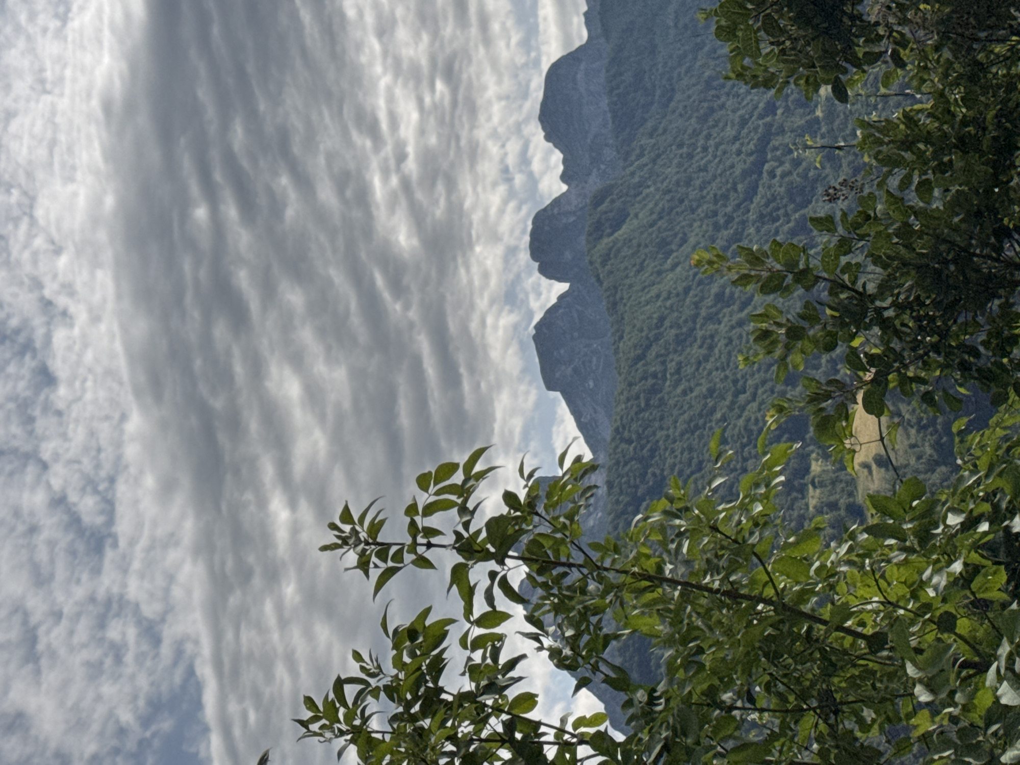 The image depicts a scenic mountainous landscape with lush green vegetation in the foreground and a dramatic cloudy sky above. The foreground is dominated by the branches and leaves of trees, suggesting a natural environment. In the mid-ground, a densely forested mountain slope stretches across the frame. The background features a range of rugged mountain peaks, their dark silhouettes contrasting with the lighter hues of the sky. The sky itself is filled with a complex pattern of clouds, ranging from light and wispy to darker, more textured formations, creating a sense of depth and atmospheric dynamism. The overall impression is one of a serene and wild natural setting. The location is identified as Dragovića Polje, Montenegro.