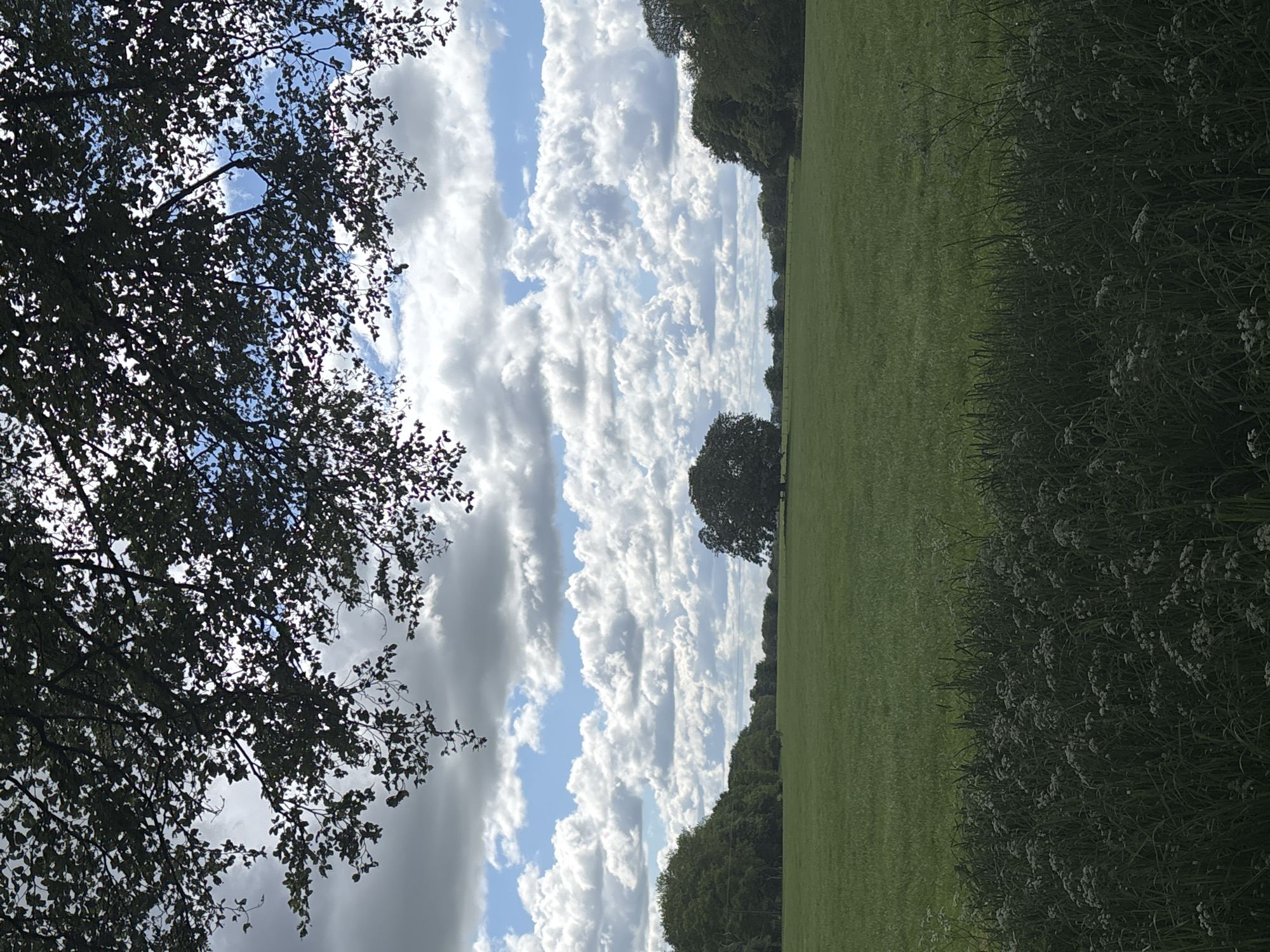 The image captures a pastoral scene in Knutsford, United Kingdom. A large, grassy field dominates the right side of the frame, with lush vegetation bordering its edge. A solitary tree stands in the middle distance. The sky is filled with layered clouds, ranging from bright white to dark grey, with patches of blue sky visible. A tree with dense foliage occupies the left side of the frame, its branches partially obscuring the sky. There are no people visible in the image.