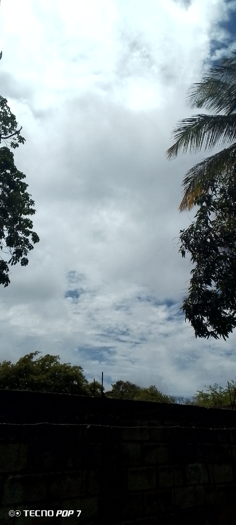 The image shows a cloudy sky with patches of blue visible. Trees and palm fronds frame the sky from the left and right sides, respectively. In the foreground, a dark, silhouetted wall or fence runs horizontally across the bottom of the frame, with barbed wire visible above it. The bottom left corner of the image contains a watermark that reads "TECNO POP 7". The scene appears to be outdoors, possibly in a residential area, given the wall and the presence of trees. The lighting suggests it is daytime, but the cloud cover indicates overcast conditions.