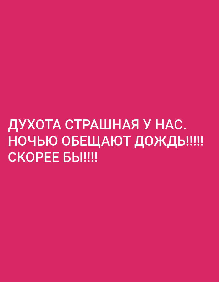 The image is a pink background with white text. The text reads "ДУХОТА СТРАШНАЯ У НАС. НОЧЬЮ ОБЕЩАЮТ ДОЖДЬ!!!!! СКОРЕЕ БЫ!!!!". This translates to "It's terribly stuffy here. They promise rain at night!!!!! I wish it would come!!!!". The text is centered on the image and there are no other objects or people visible. The image does not provide any information about the location of the city of Almaty, Kazakhstan.