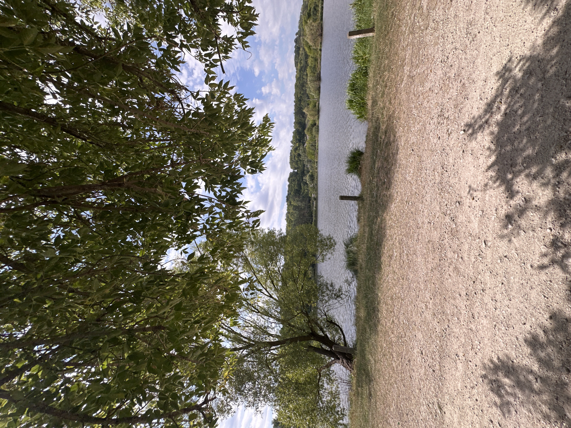 The image shows a tranquil outdoor scene near a body of water, likely a lake or pond, on a sunny day. The foreground is a dusty path with scattered pebbles and grass, partially shaded by the dappled sunlight filtering through the leaves of a large tree. This tree, with its lush green foliage, dominates the left side of the image, its branches extending over the scene. In the middle ground, the calm water reflects the blue sky dotted with fluffy white clouds. The background features a dense line of green trees and vegetation covering rolling hills. Two wooden posts are visible on the grassy bank near the water's edge, one to the left of the large tree and another on the right side of the frame. This scene is located in the city of Makiv, Ukraine.