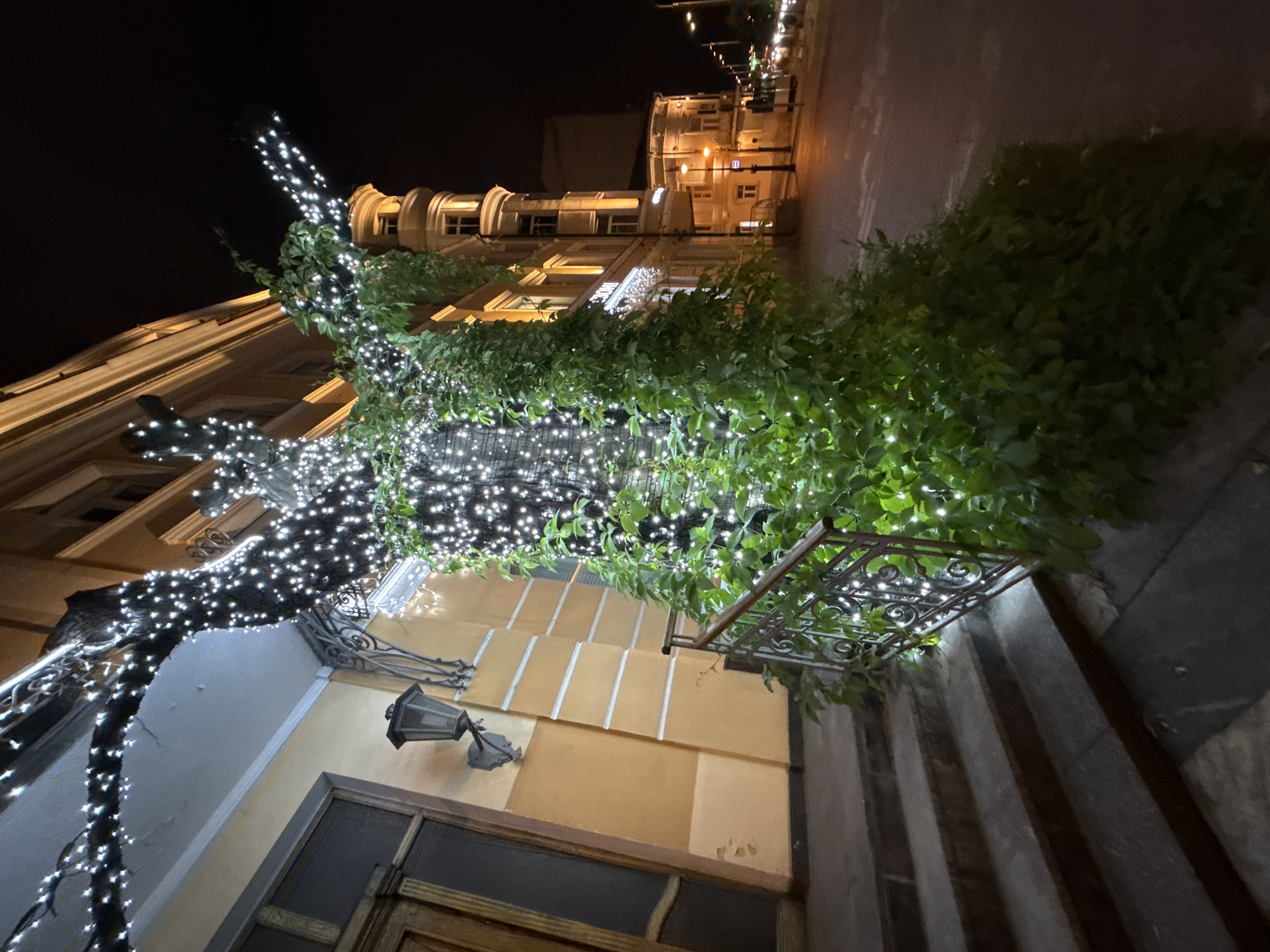 This is a nighttime photograph of a building facade with a tree wrapped in white string lights. The building has a pale yellow facade with white trim and a dark wooden door. A lantern is mounted to the wall above a set of stone stairs. The tree, which is densely covered in green foliage and the string lights, is located next to the stairs. In the background, there are other buildings with illuminated windows and streetlights. The street is paved and appears to be wet. The overall scene conveys a festive and somewhat magical atmosphere. While specific details about the location within Moscow are not immediately apparent, the architectural style and streetscape suggest an urban environment. There are no people visible in the image.
