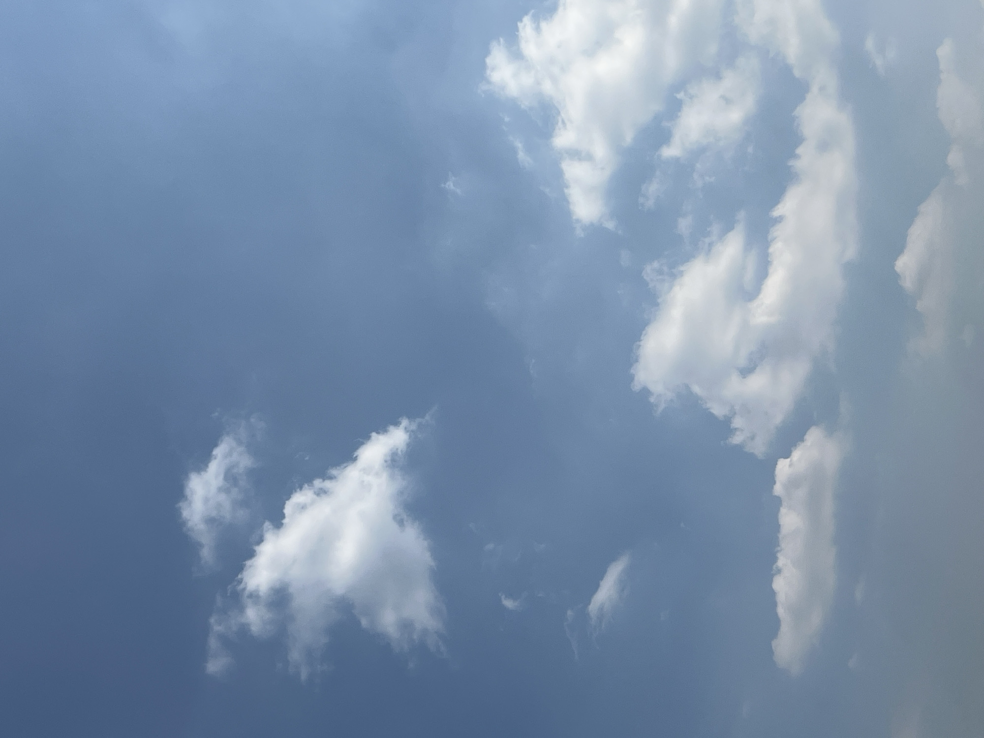 The image shows a vast, clear blue sky with scattered white, cumulus clouds. The clouds vary in size and density, with some appearing wispy and others more substantial. The lighting suggests it is daytime, with the sun likely positioned to the right of the frame, illuminating the clouds and creating subtle shadows. There are no discernible man-made structures, people, or animals visible in the image. The environment depicted is solely the sky.