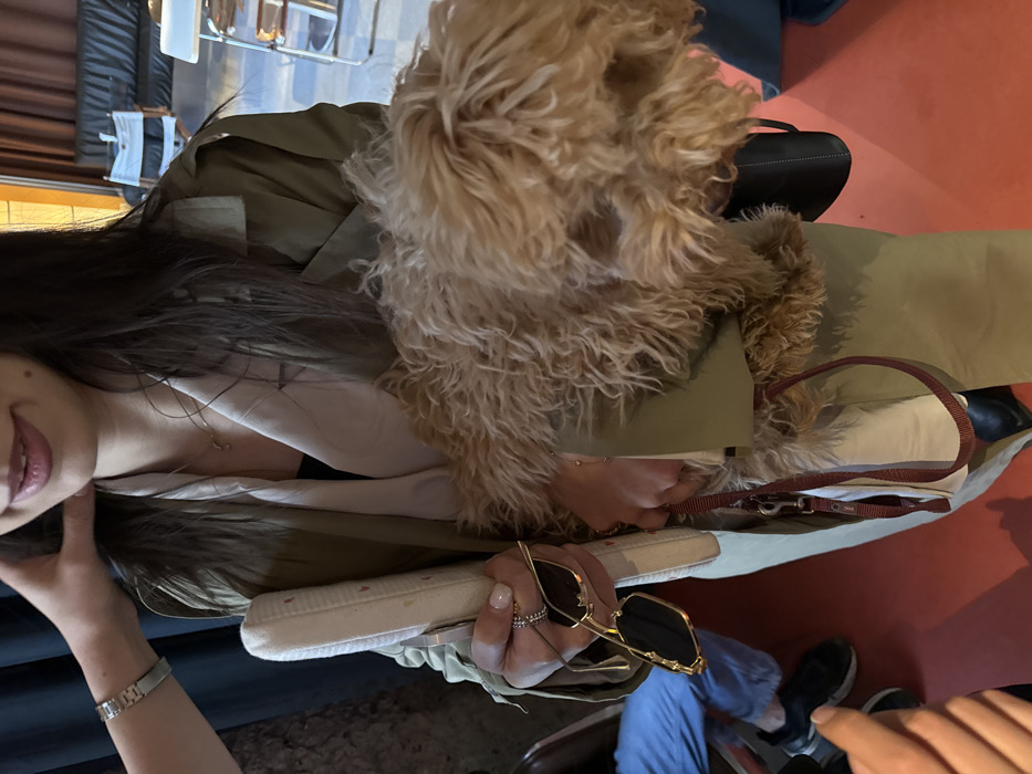 The scene is an indoor establishment in Yerevan, Armenia. A female individual, partially visible, with long, dark hair and wearing an olive-green trench coat over a white garment and light-colored trousers, is the central subject. She holds a small, light-brown, curly-haired dog in her arms with her right hand, which also holds a dark red leash attached to the dog. Her left hand holds a white rectangular object with small colorful motifs and a pair of gold-framed sunglasses with dark lenses. She wears a ring on her left ring finger and a delicate necklace. Her lower face shows light pink lipstick. To the left, a second individual's hand, wearing a metallic watch, gently touches the central subject's neck/jawline. In the lower left foreground, the legs of a third person are visible, clad in blue jeans and black sneakers. The background features a diverse array of furniture, including a dark-colored sofa with horizontal ridges, several director's chairs with white fabric, and a light-colored table. The floor is a distinct red-orange hue with darker sections.