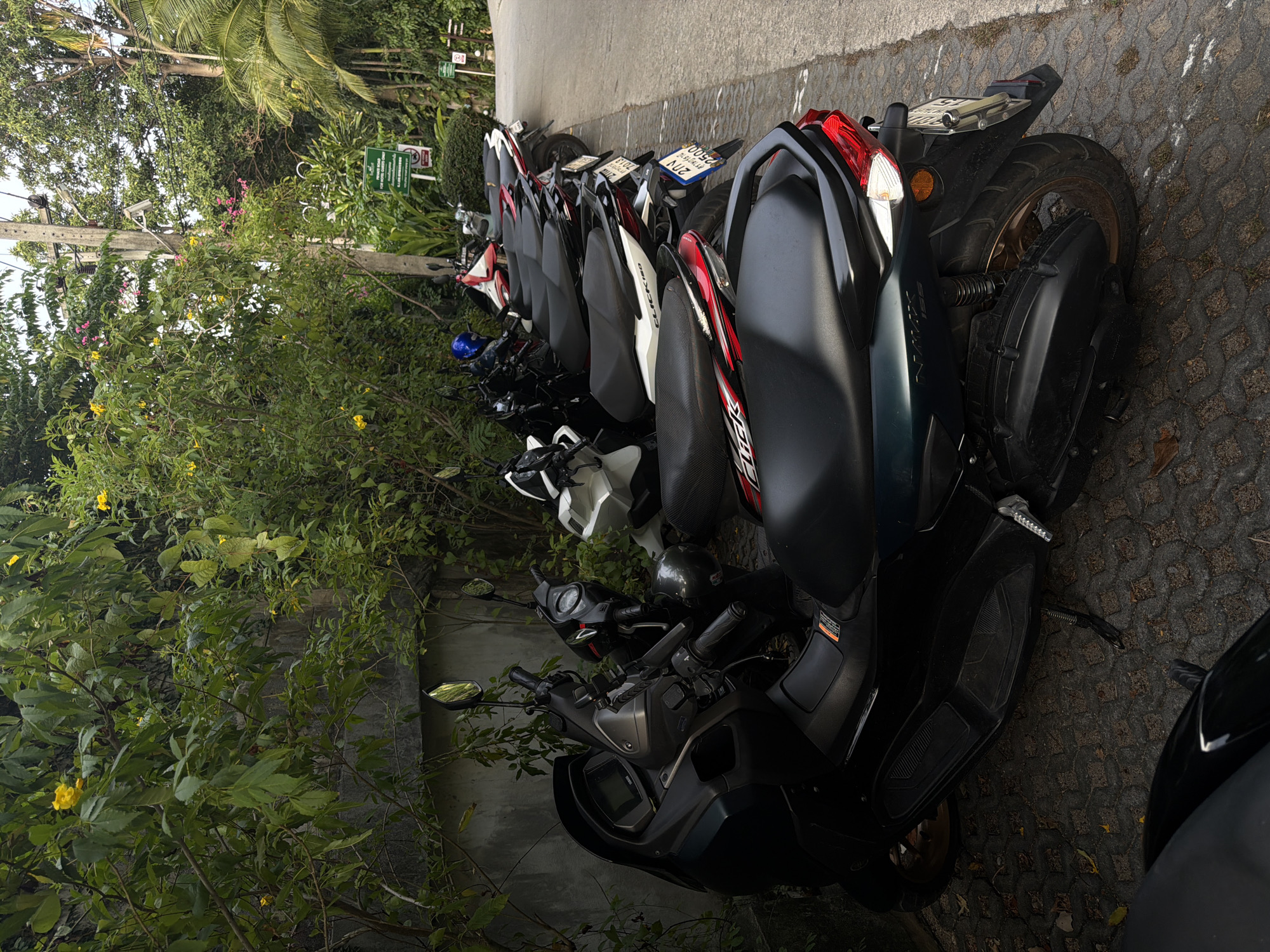 In the city of Ko Samui District, Thailand, a line of parked scooters is visible along a paved pathway. The scooters are predominantly dark in color, with a few white and red accents. They are parked in a row, facing the same direction. Lush green foliage and trees are abundant, with some yellow flowers visible. A concrete wall runs along the left side of the image. In the background, a utility pole with electrical wires is present, along with some signage. The ground is paved with interlocking bricks, and fallen leaves are scattered about. The scene appears to be outdoors, possibly in a residential area or a parking lot adjacent to a natural setting. There are no people visible in the image.